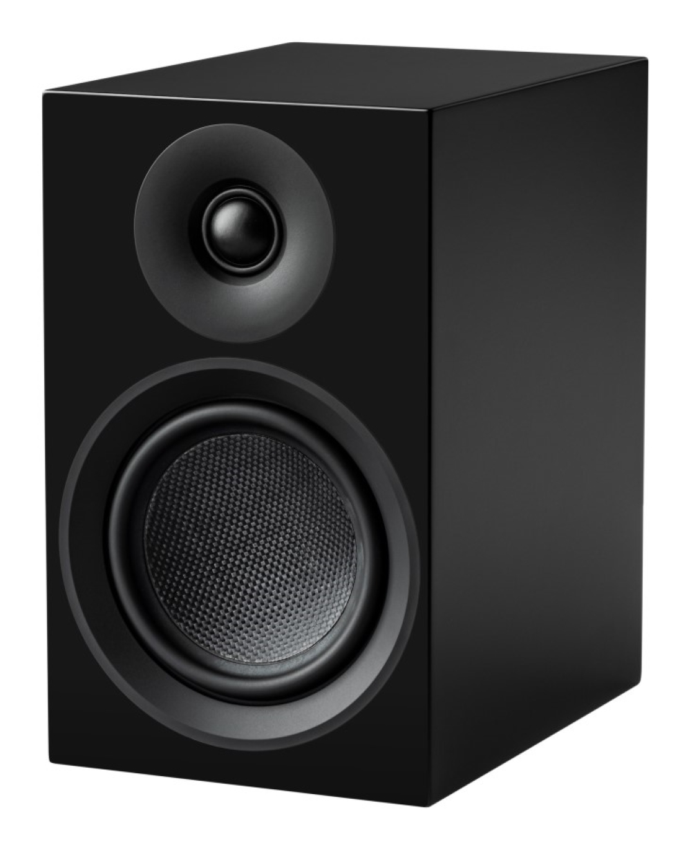 Czarny głośnik z głośnikiem wysokotonowym nad głośnikiem niskotonowym z membraną z włókna węglowego.