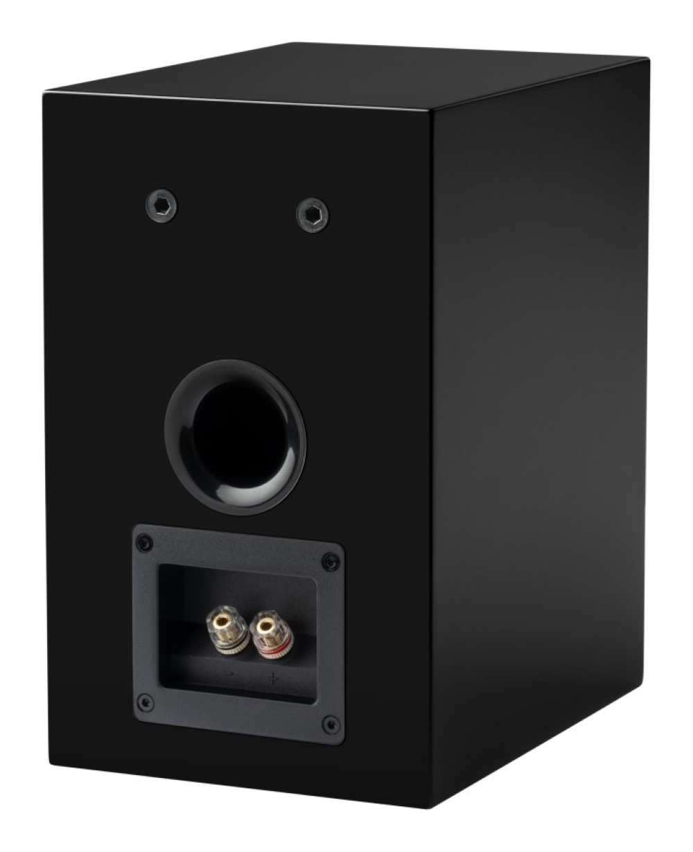 Tył czarnego głośnika ze złączami i otworem. Widoczne dwa wkręty.