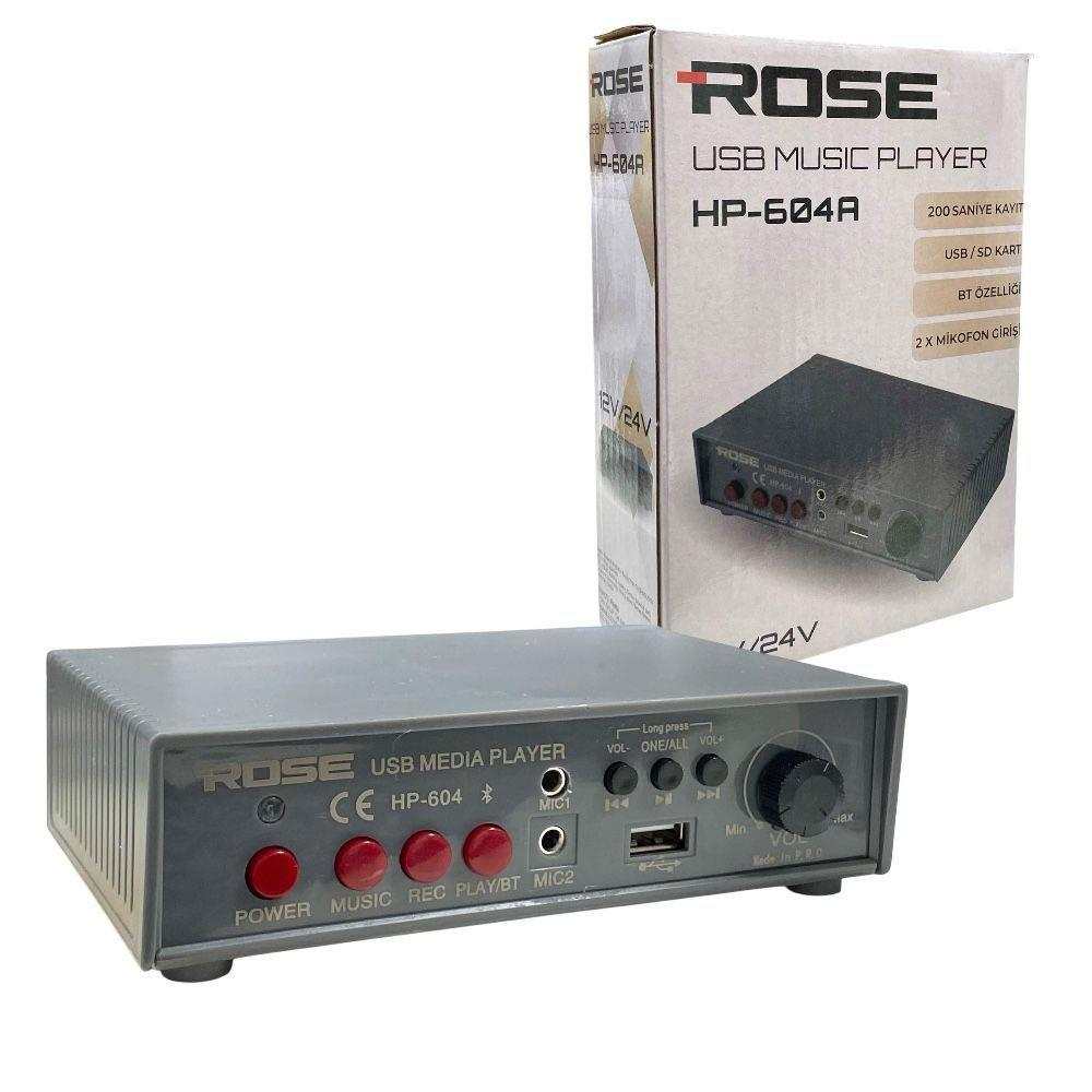 Düğmeli, portlu ve ambalajlı gri Rose USB müzik çalar.