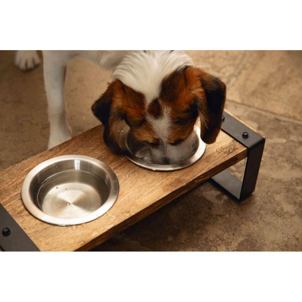 Ein Hund mit braunen und weißen Markierungen trinkt aus einem Napf auf einem Holzständer.