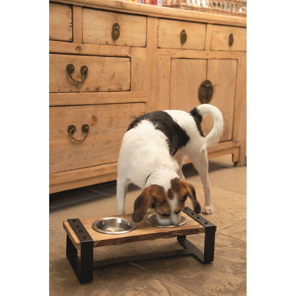 Ein Hund frisst aus einem Napf auf einem Holzständer vor einer Kommode.