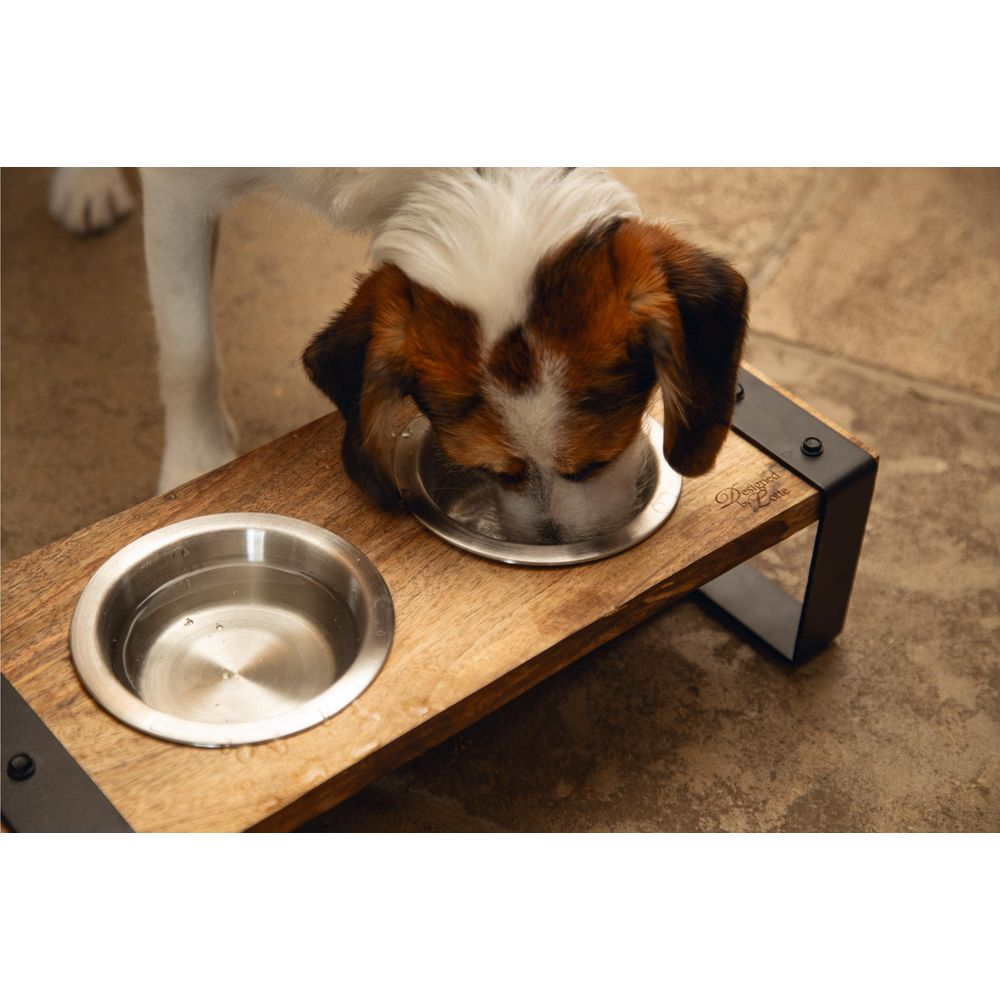 Ein Hund mit weißem, braunem und schwarzem Fell trinkt aus einem Metallnapf auf einem Holzständer.