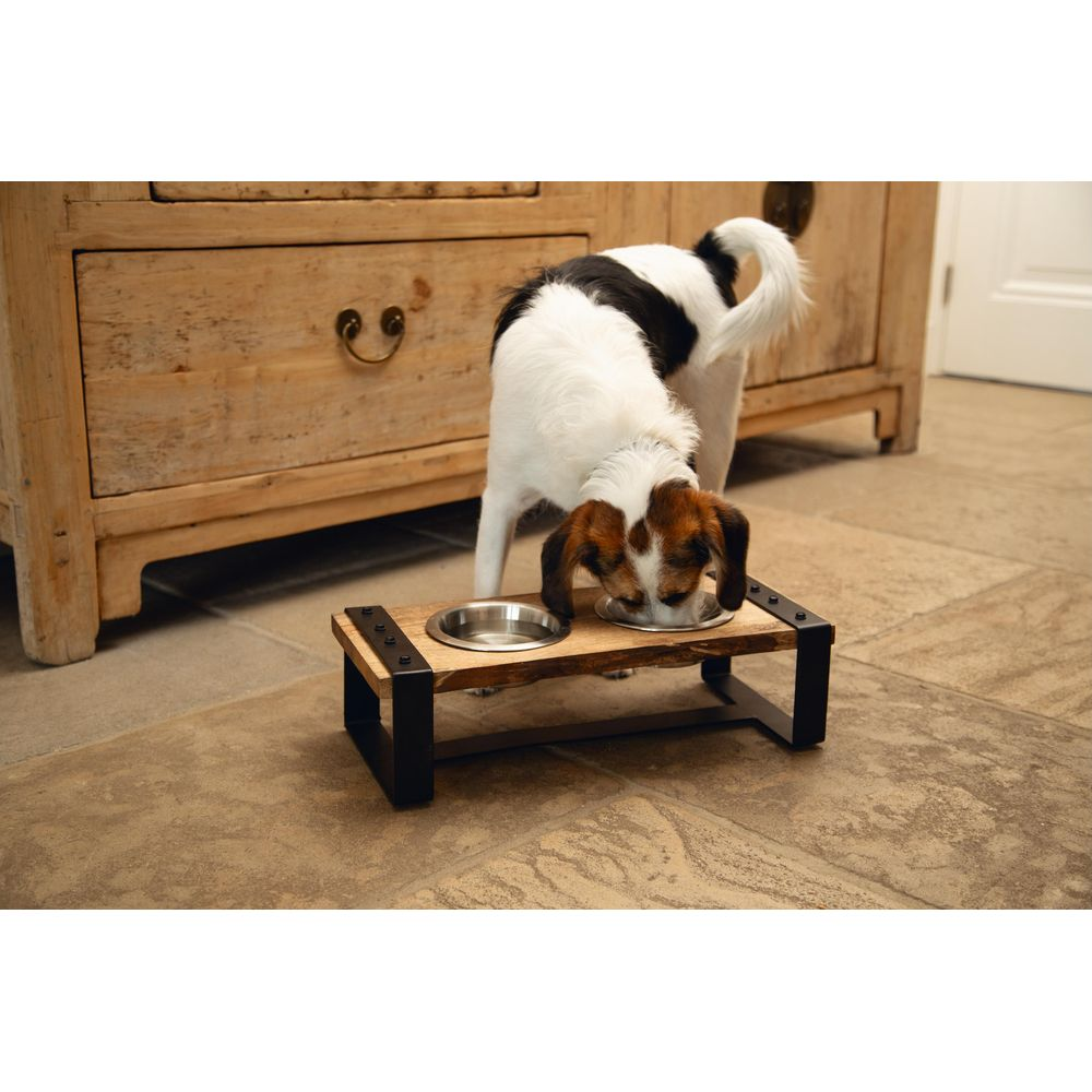 Ein Hund frisst aus einem Napf auf einem Holzständer vor einer alten Kommode.