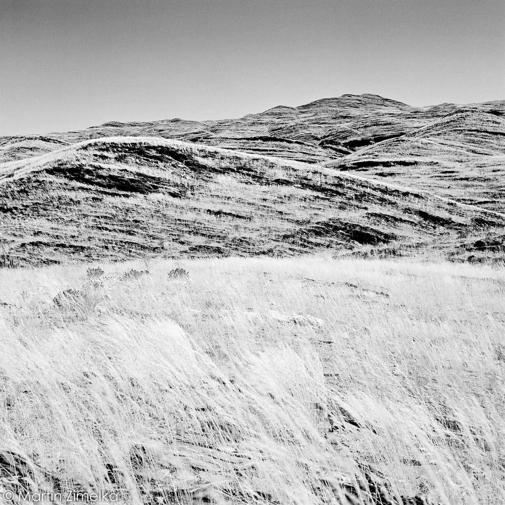 Hierbas en primer plano, paisaje montañoso con texturas al fondo.