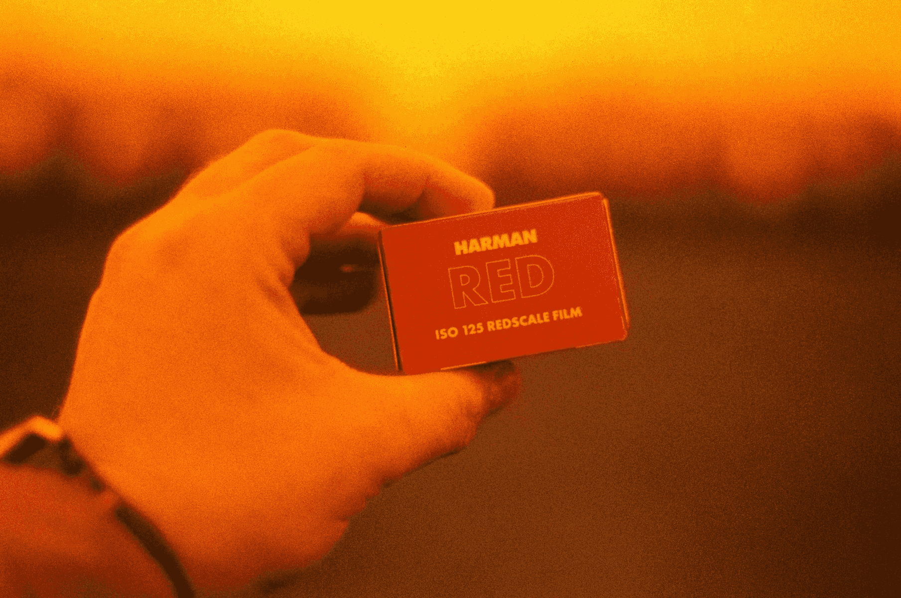 Una mano sostiene una caja roja pequeña con la etiqueta HARMAN RED ISO 125 REDSCALE FILM.