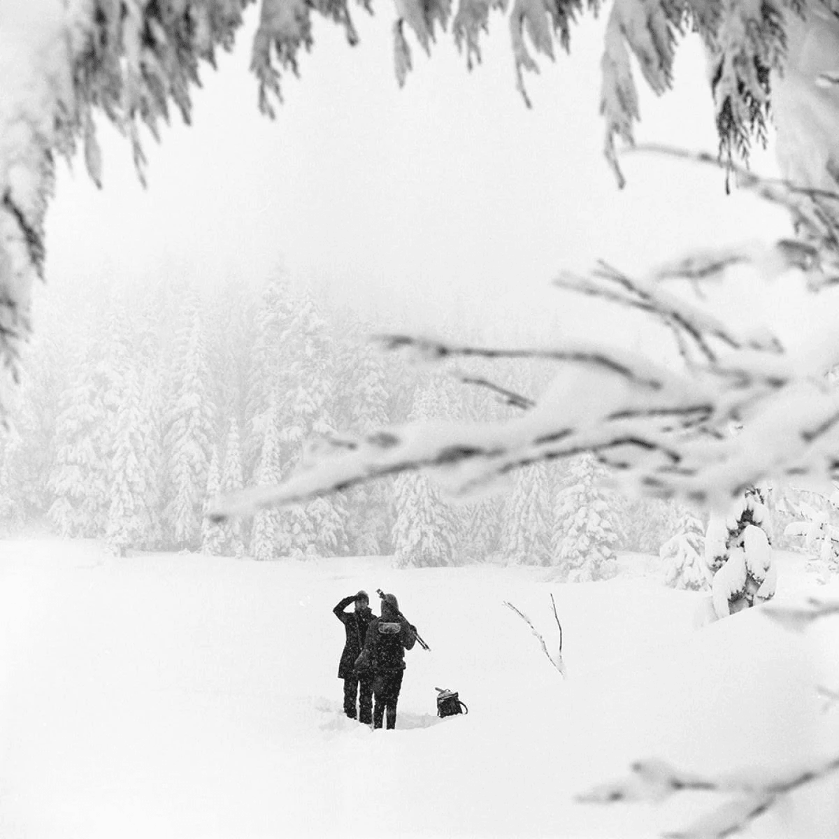 Dos personas en la nieve, bosque nevado detrás, ramas delante. Escena invernal.