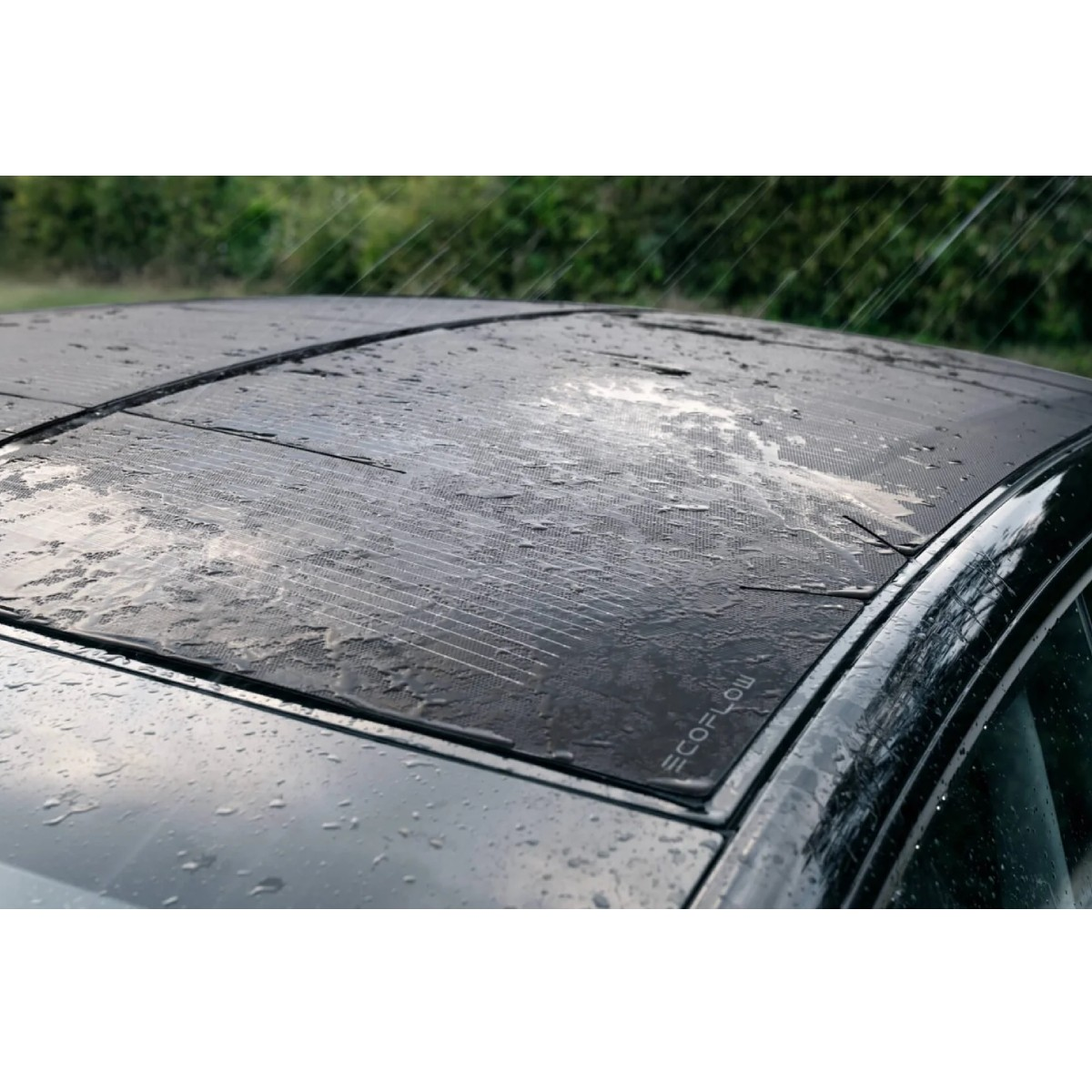 Un techo de coche negro con paneles solares está mojado por la lluvia. Árboles verdes al fondo.