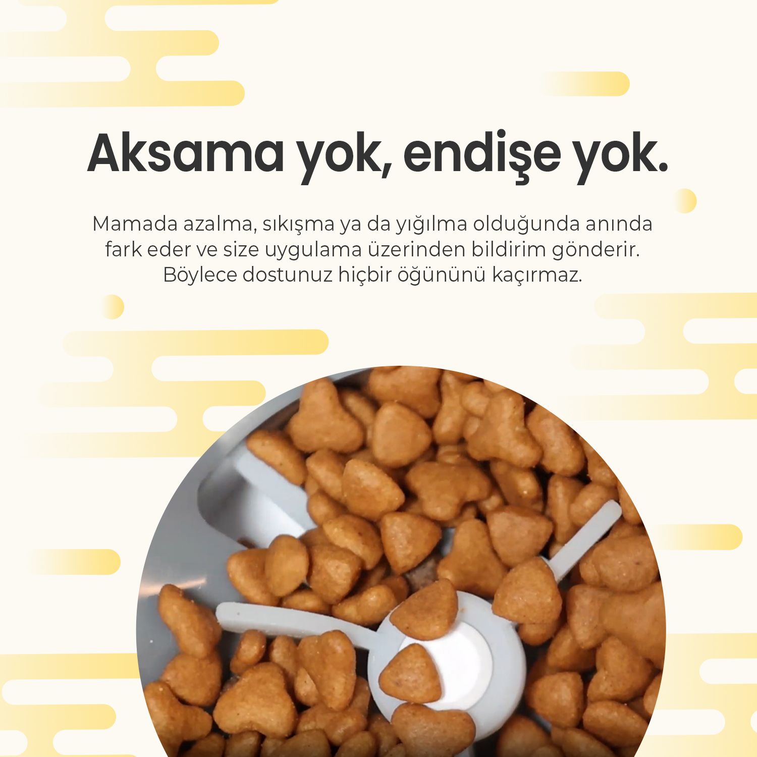 Kahverengi mama dolu bir mama kabı ve kaşık.