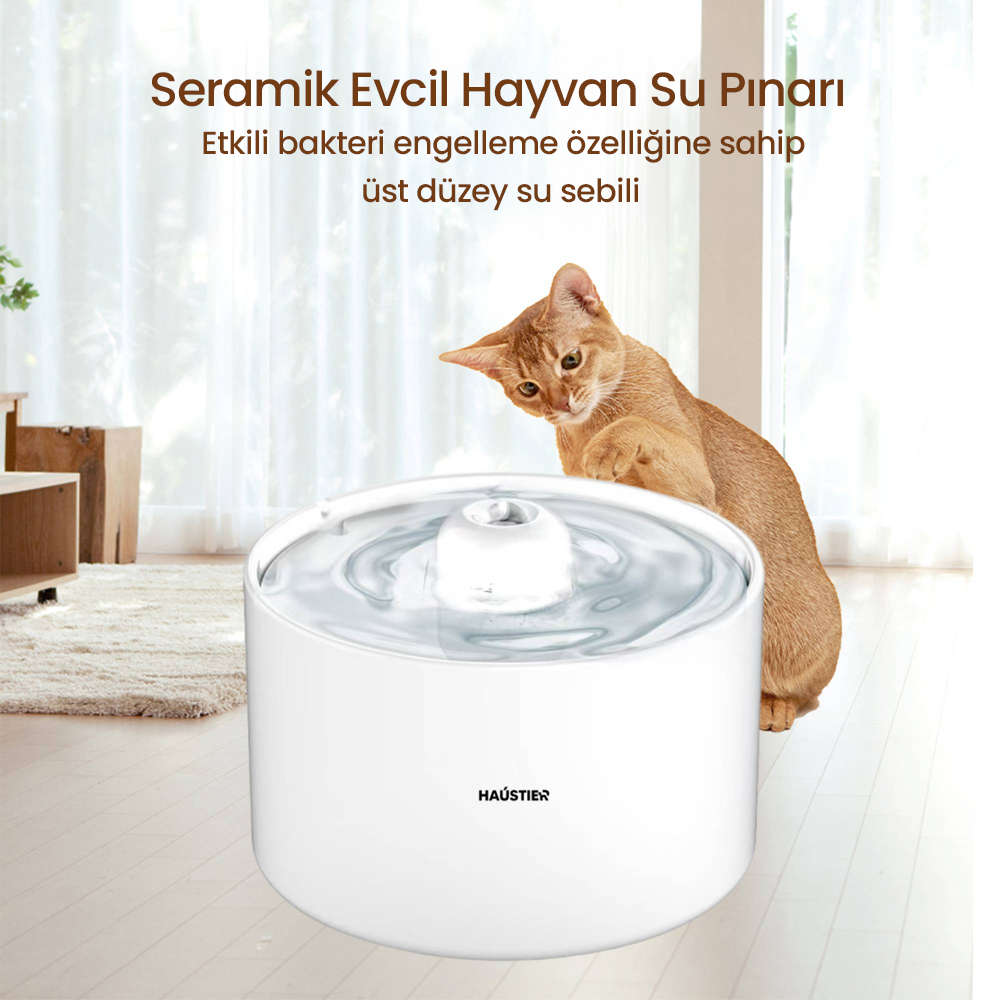 Turuncu bir kedi, dalgalı suya sahip beyaz bir evcil hayvan su sebilesinin üzerinden bakar.