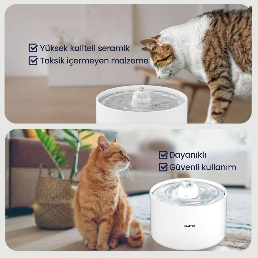 Kediler su sebillerinden su içiyor. Biri kahverengi-beyaz, diğeri turuncudur.