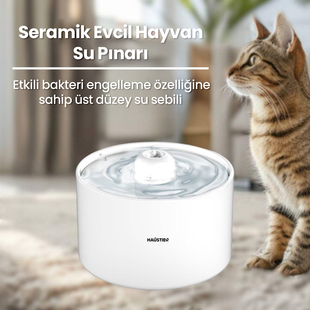 Bir kedi, akan suya sahip beyaz seramik evcil hayvan su pınarına bakıyor.