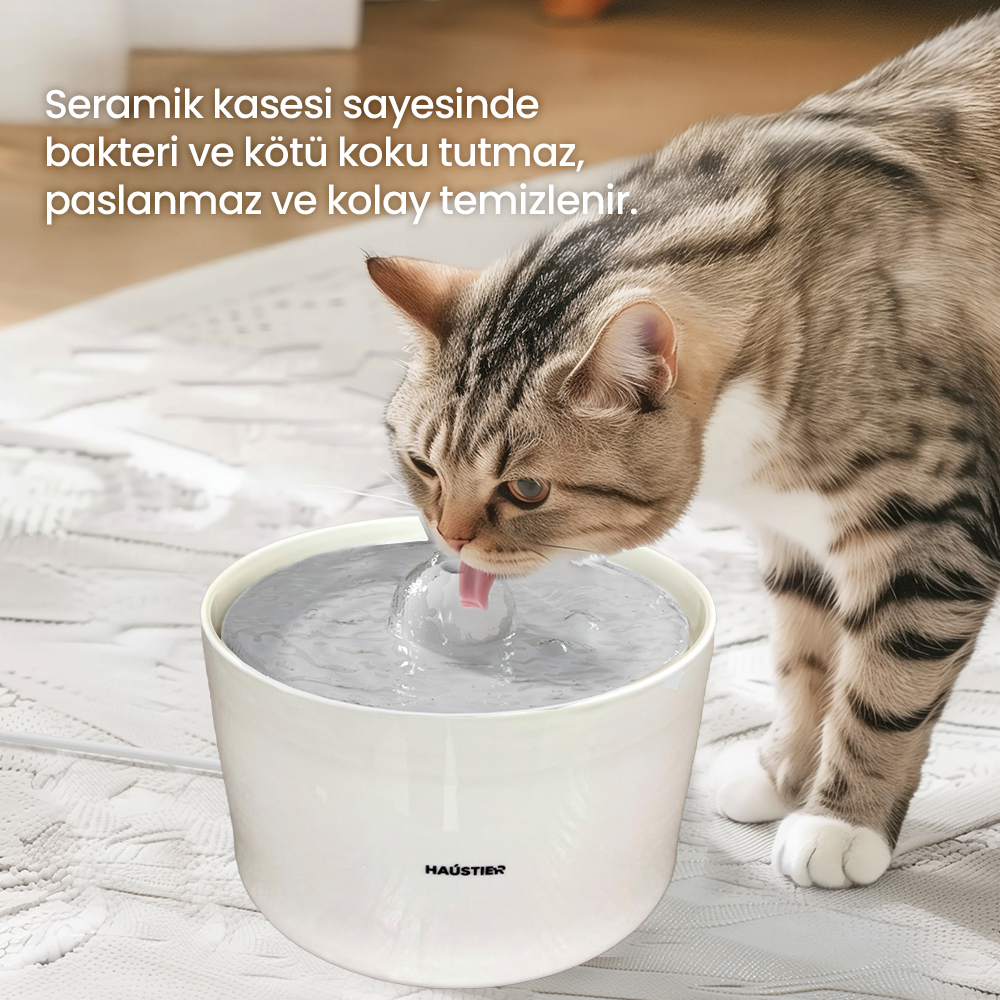 Tekir kedi, akan sulu beyaz bir su அதன் içinden su içiyor.