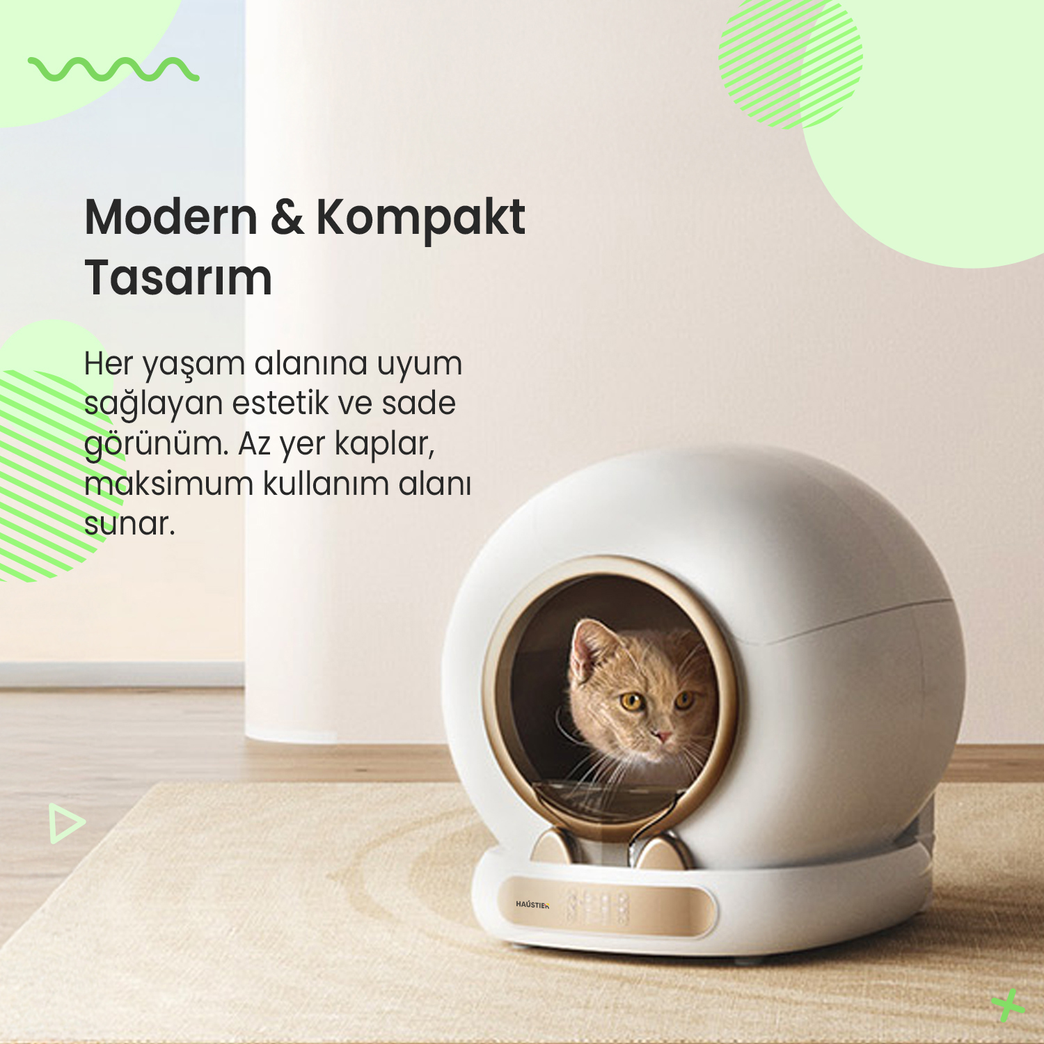 Altın kenarlı modern, beyaz kedi tuvaletinden bir kedi bakar.