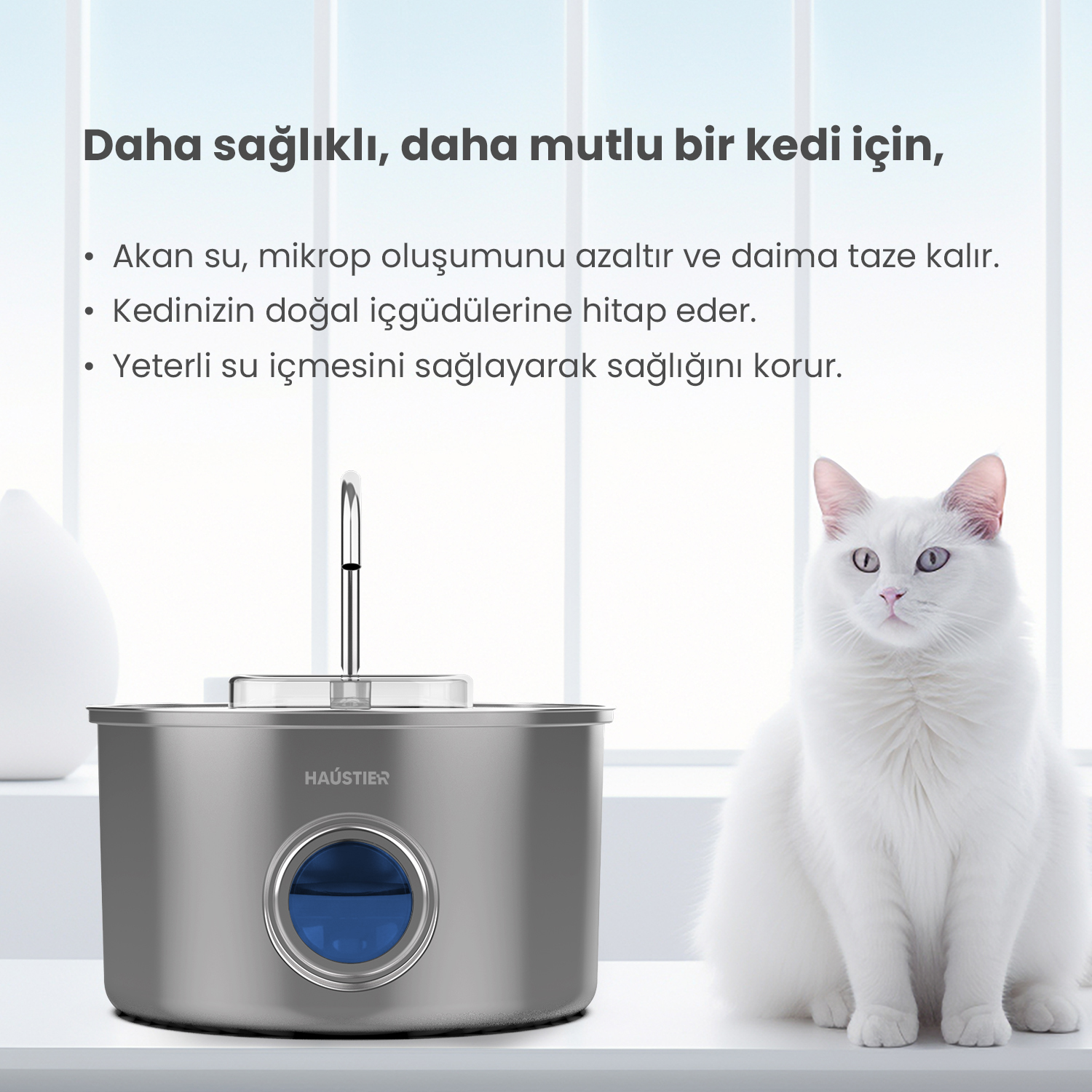 Beyaz bir kedi, mavi suya sahip şık, metalik bir su sebili yanında oturuyor.