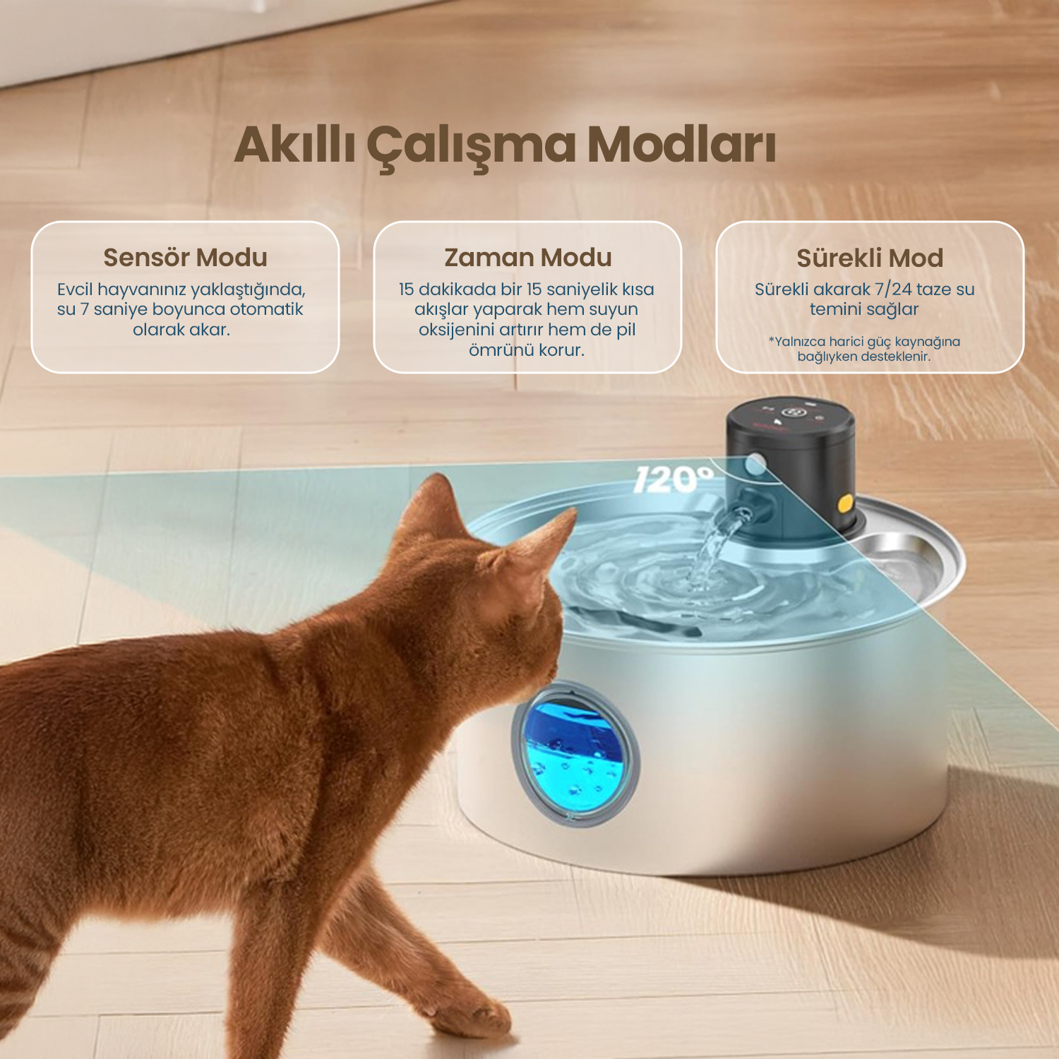 Kahverengi bir kedi, üç çalışma modlu su sebeline yaklaşıyor.