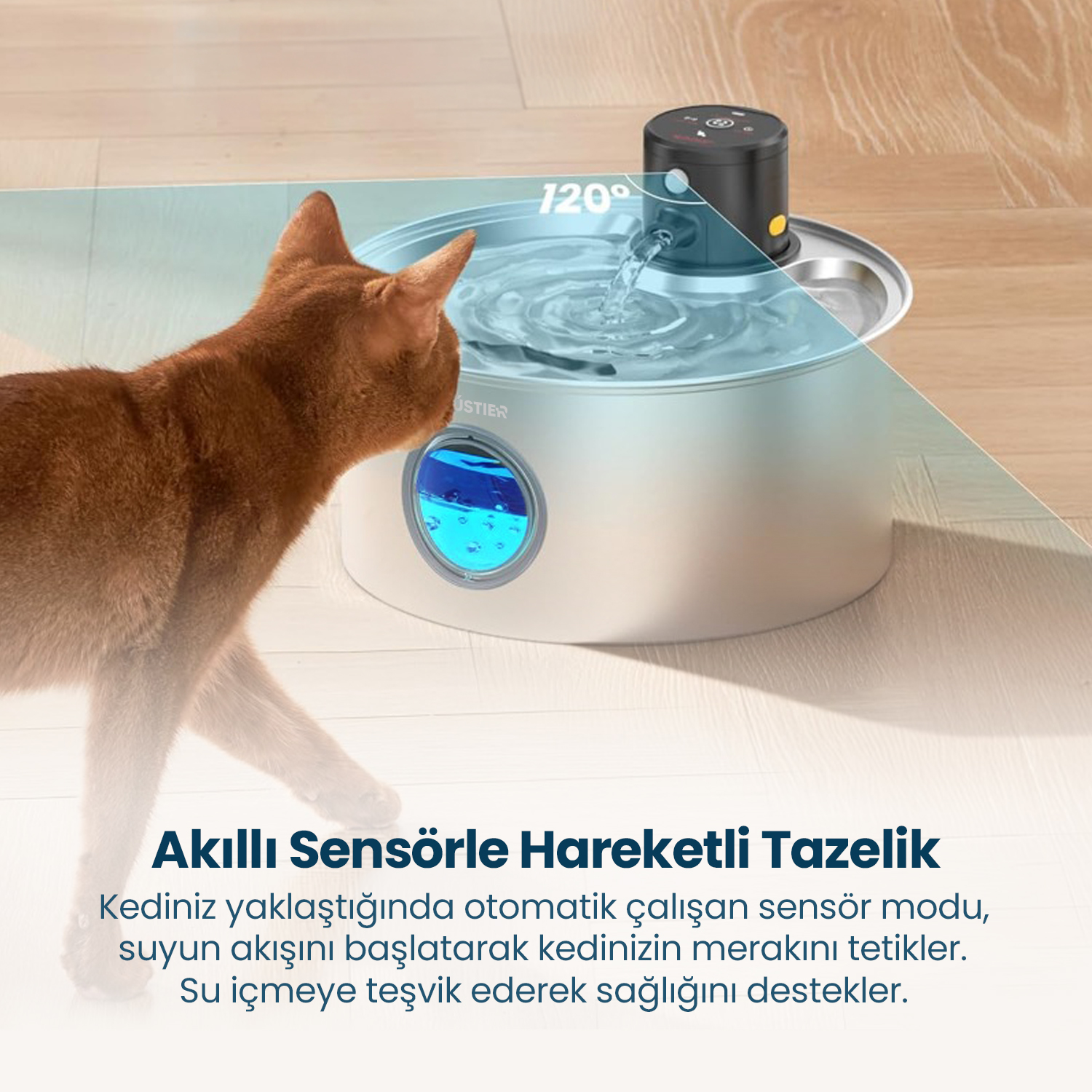Bir kedi sensörlü otomatik su sebeline yaklaşıyor.