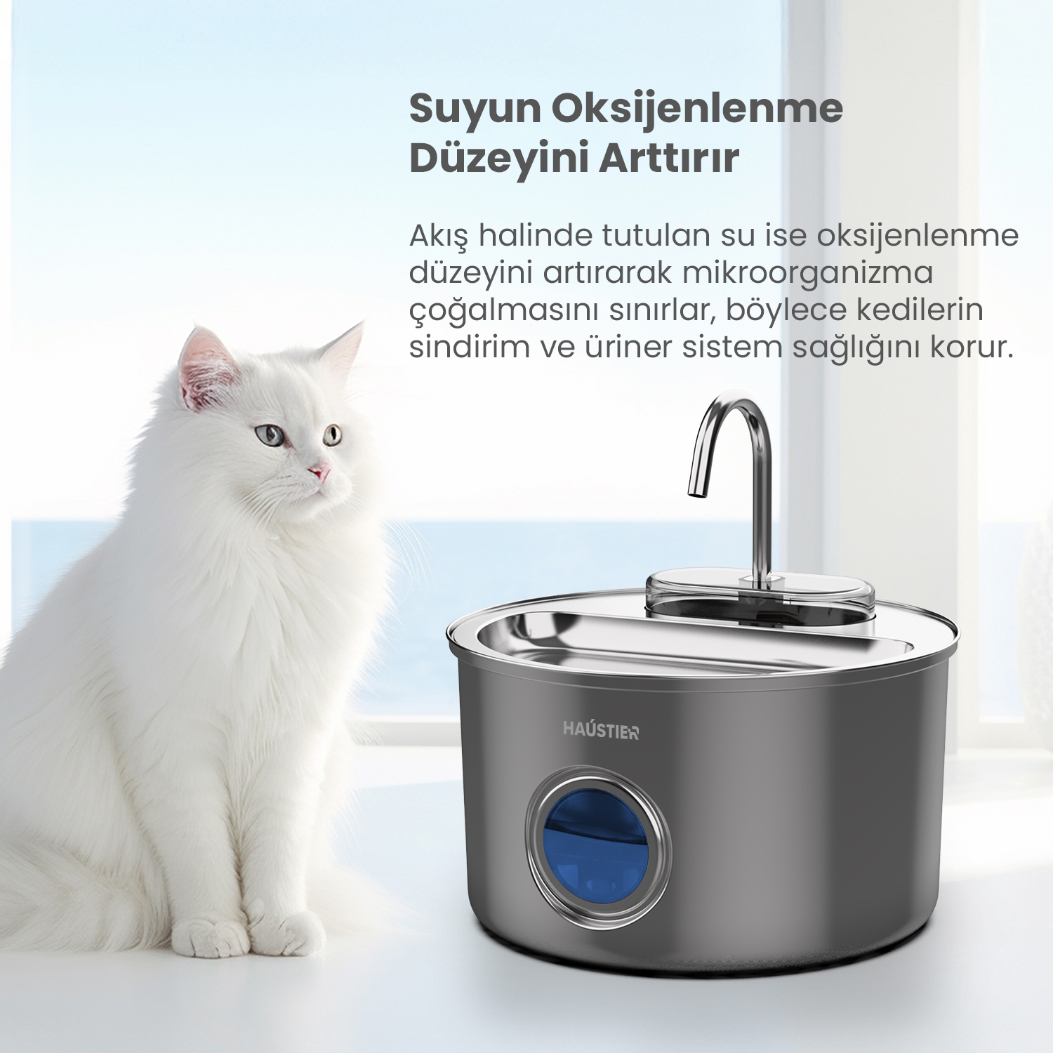 Beyaz bir kedi, musluklu gümüş rengi evcil hayvan su sebili yanında oturuyor.