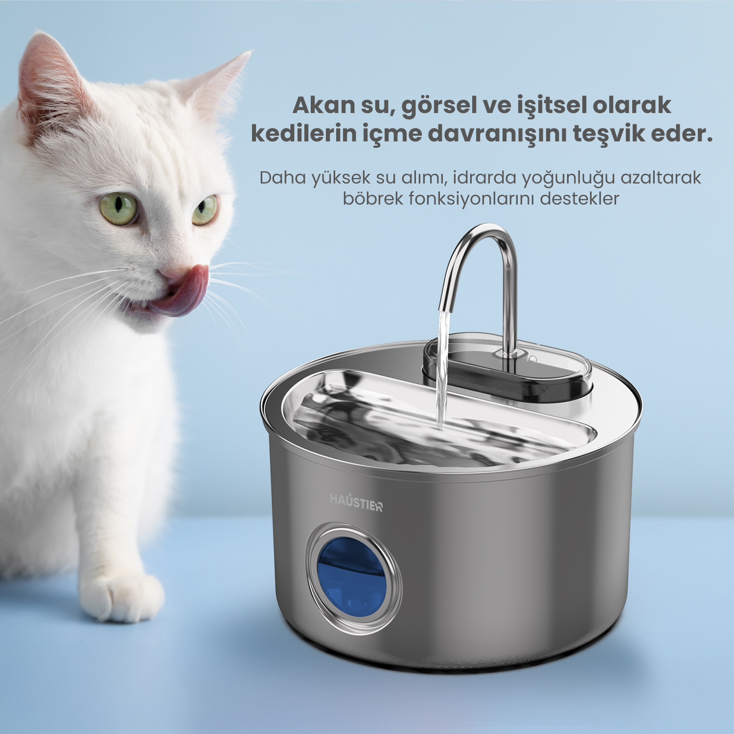 Beyaz bir kedi, paslanmaz çelik su sebili yanında dudaklarını yalar.