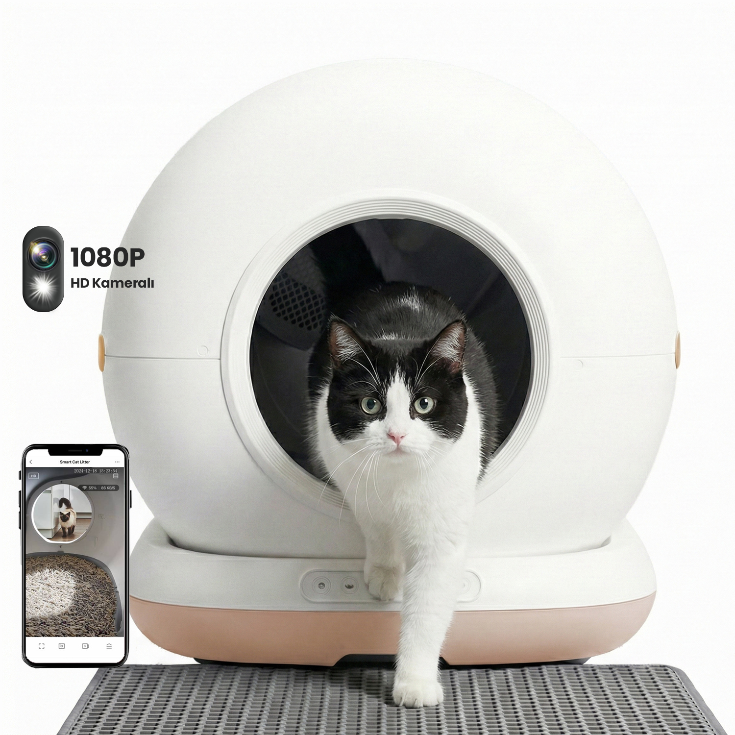 Beyaz bir kedi tuvaletinden çıkan kedi. Akıllı telefon güvenlik kamerası görüntüleri.