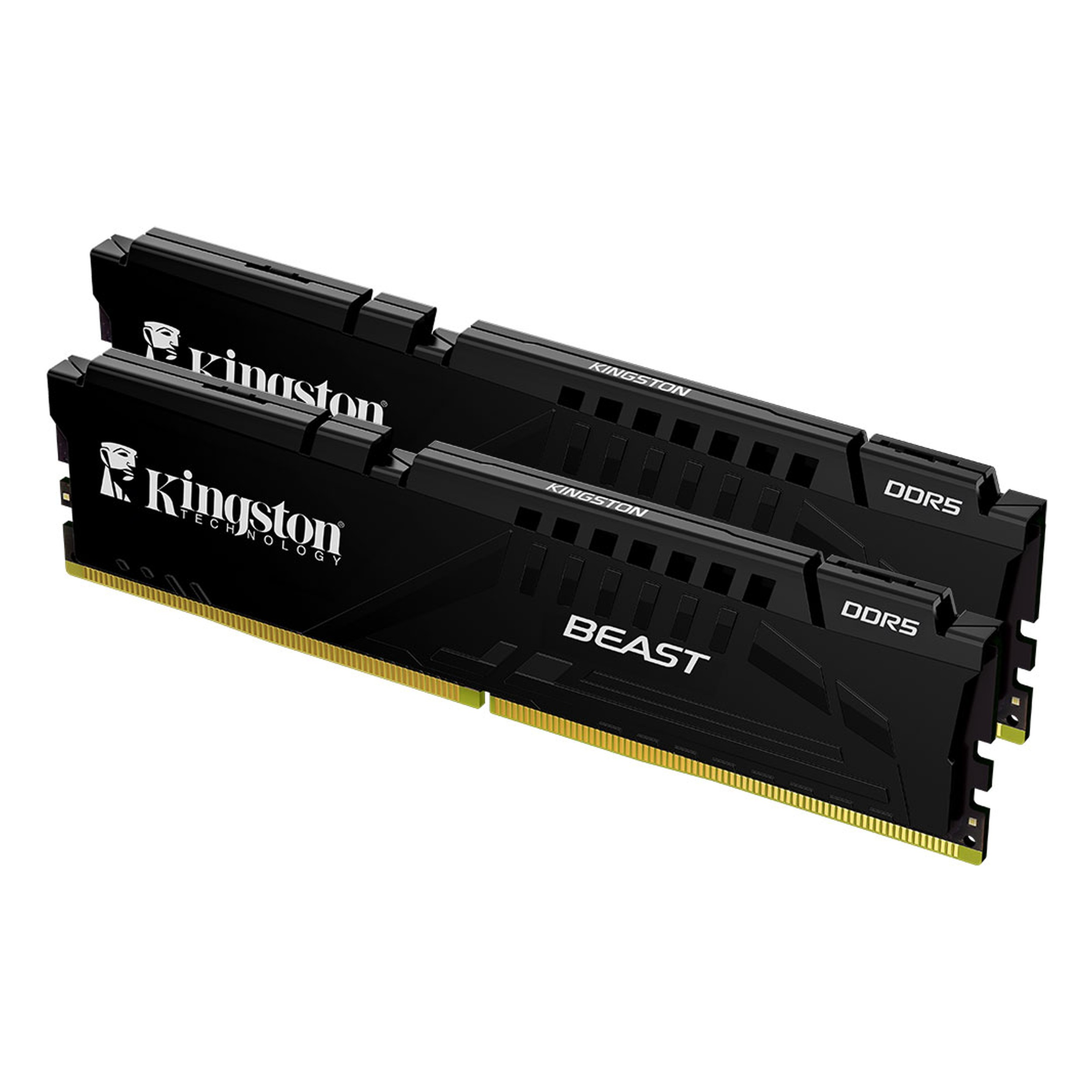 Altın temaslı ve soğutuculu iki siyah Kingston DDR5 RAM modülü.