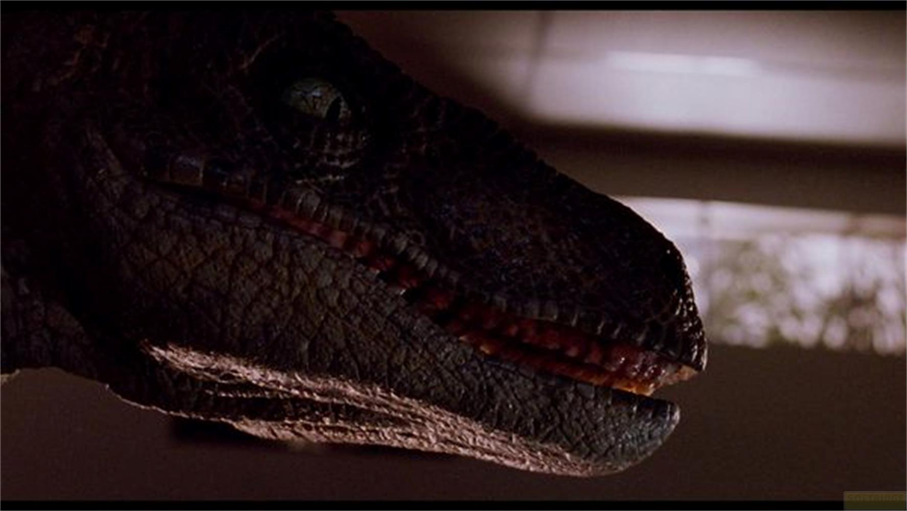 Primo piano della testa di un dinosauro scuro con occhi verdi e bocca aperta.