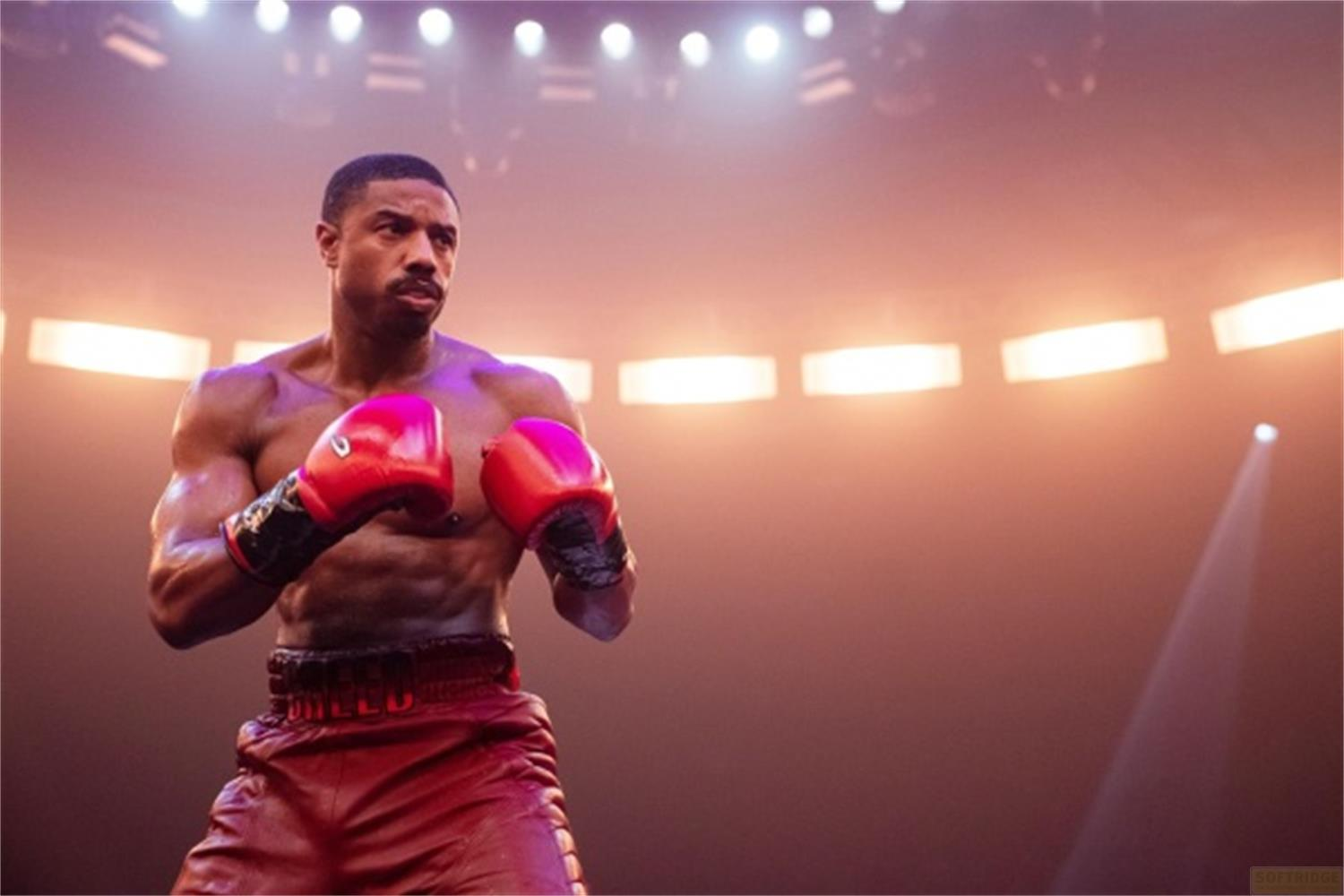 Ein Boxer in roten Shorts und mit roten Handschuhen steht im Rampenlicht.