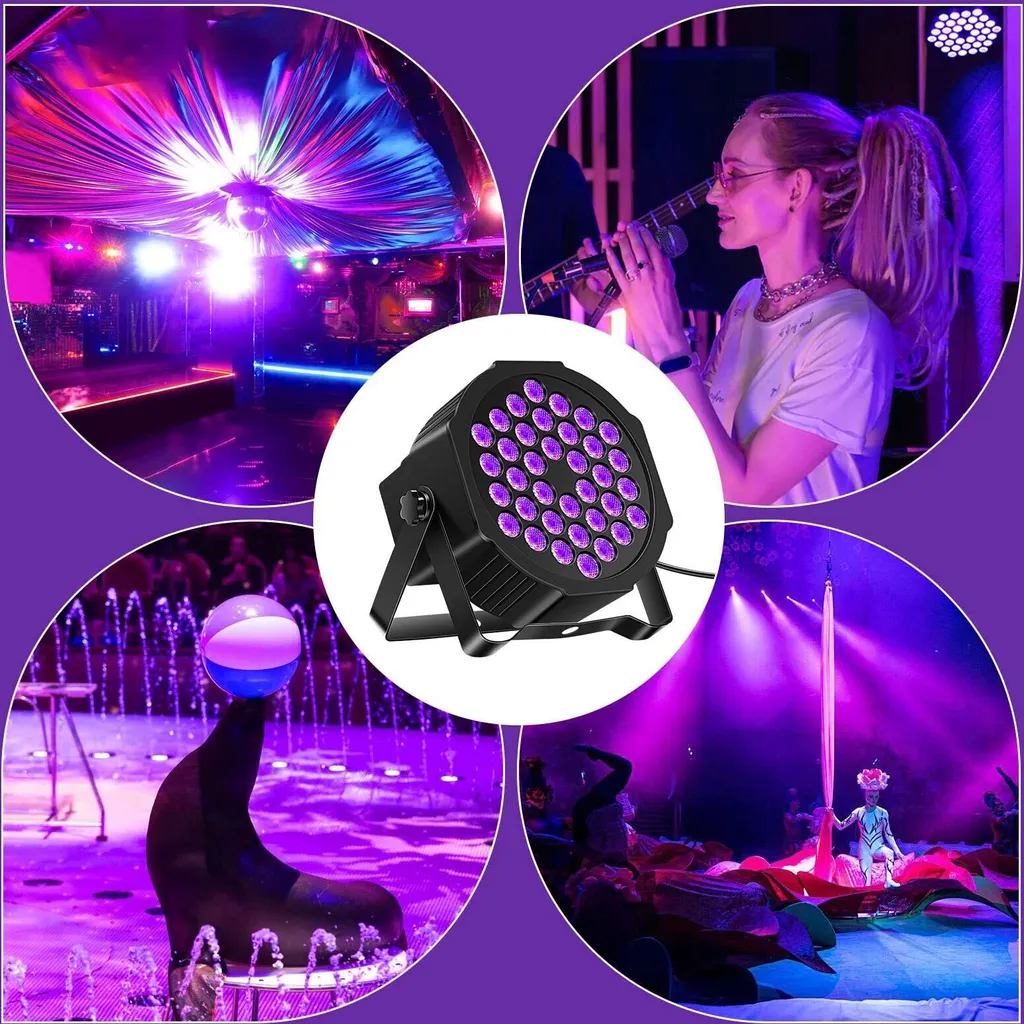 Bühnenlicht mit lila LEDs in verschiedenen Szenen: Club, Musikerin, Seelöwe, Zirkus.