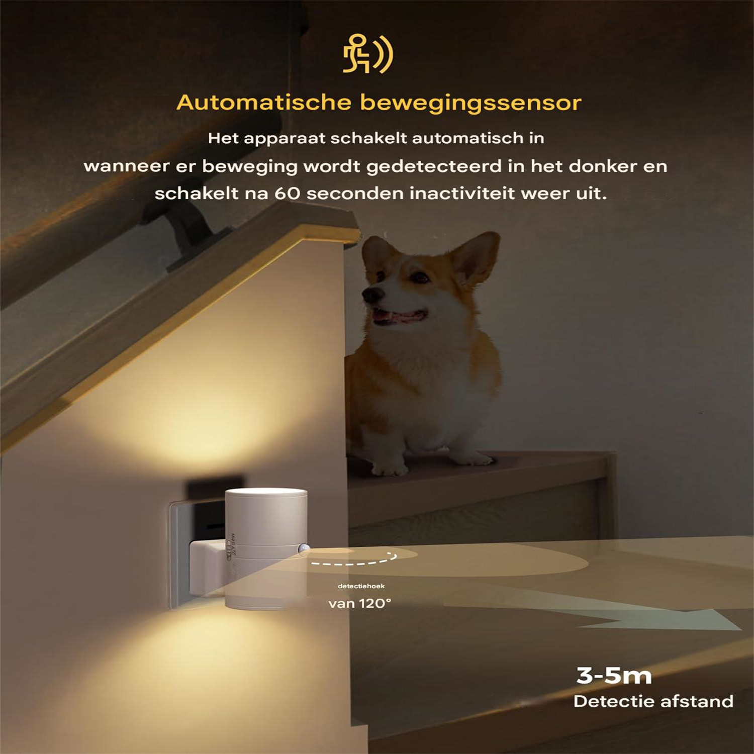 Un Corgi seduto sulle scale accanto a un sensore di movimento a 120°.
