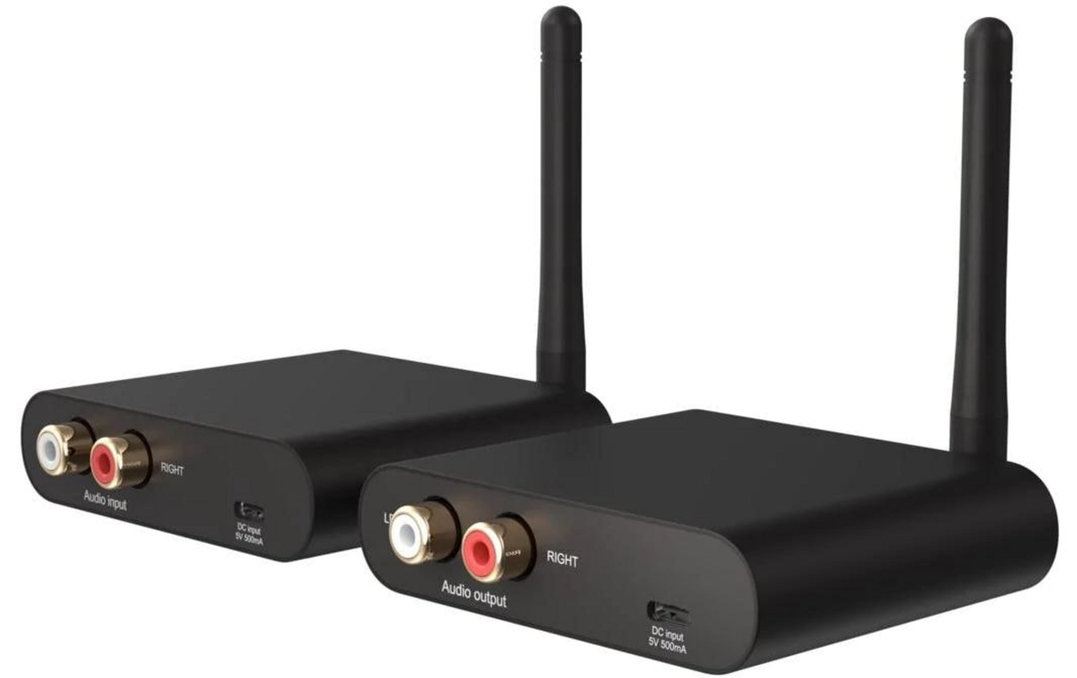 Zwei schwarze Audio-Adapter mit Antennen, RCA-Anschlüssen und USB-Anschluss.