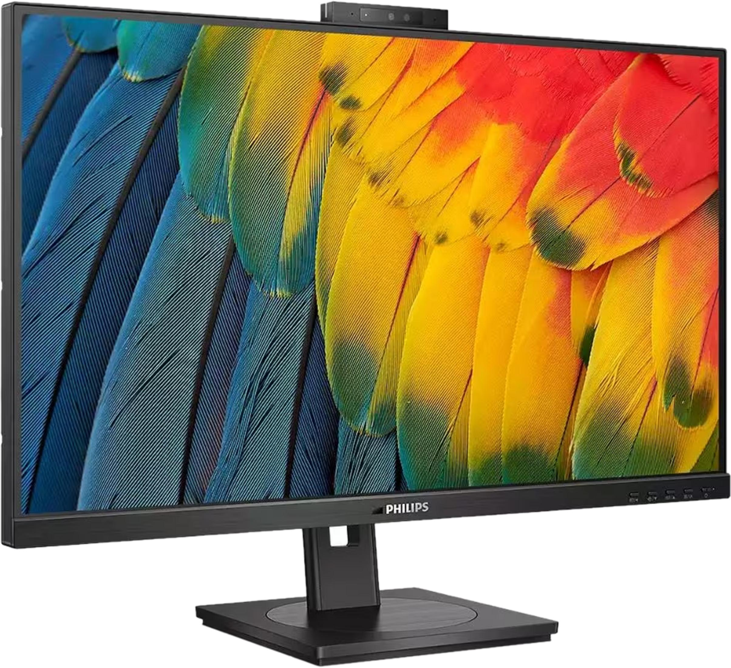 Monitor met close-up van kleurrijke papegaaiveren in blauw, geel en rood.
