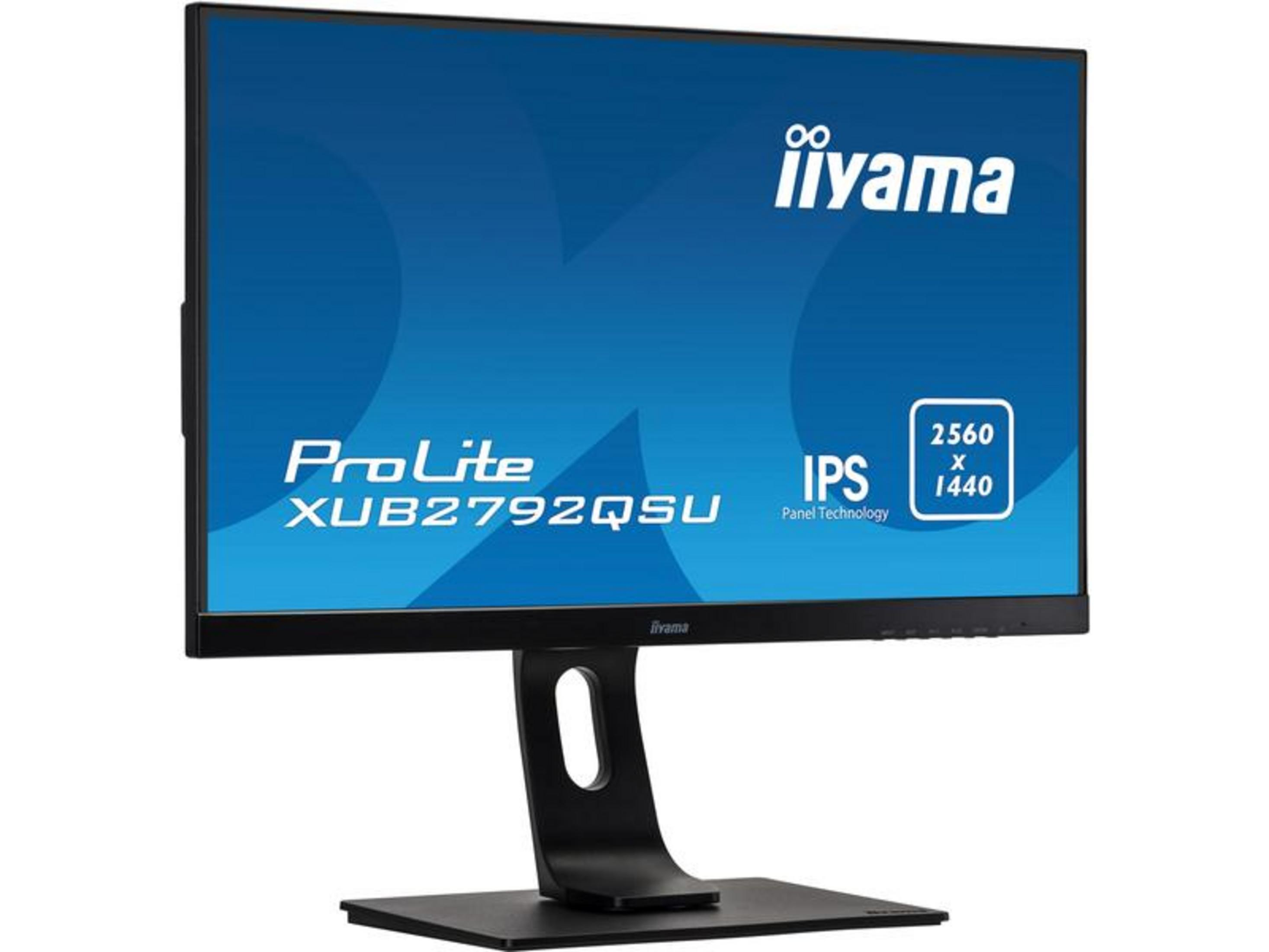 Un monitor negro Iiyama ProLite mostrando un gráfico azul.