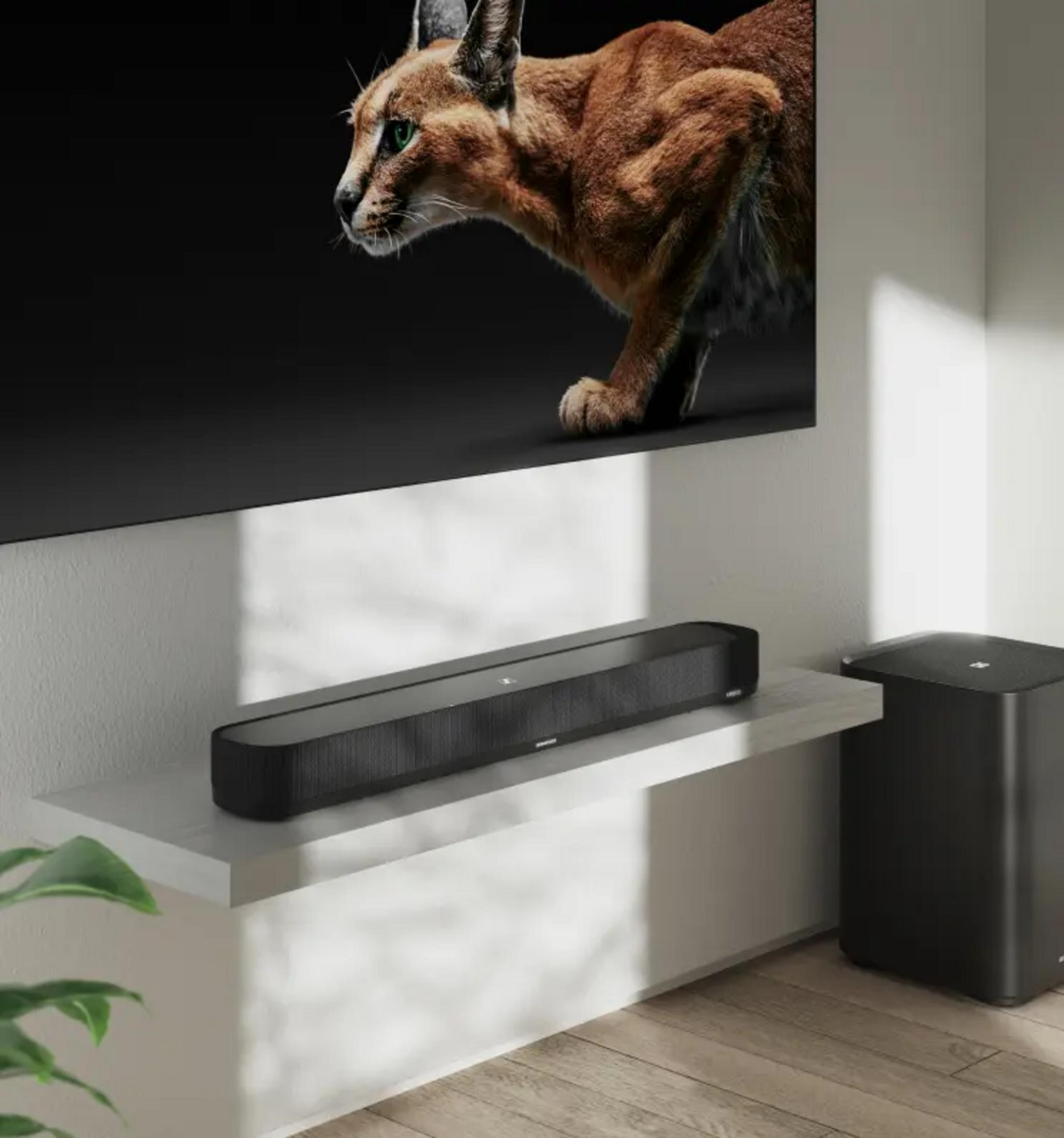 Ein Luchs mit grünen Augen auf einem dunklen Hintergrund über einer Soundbar.
