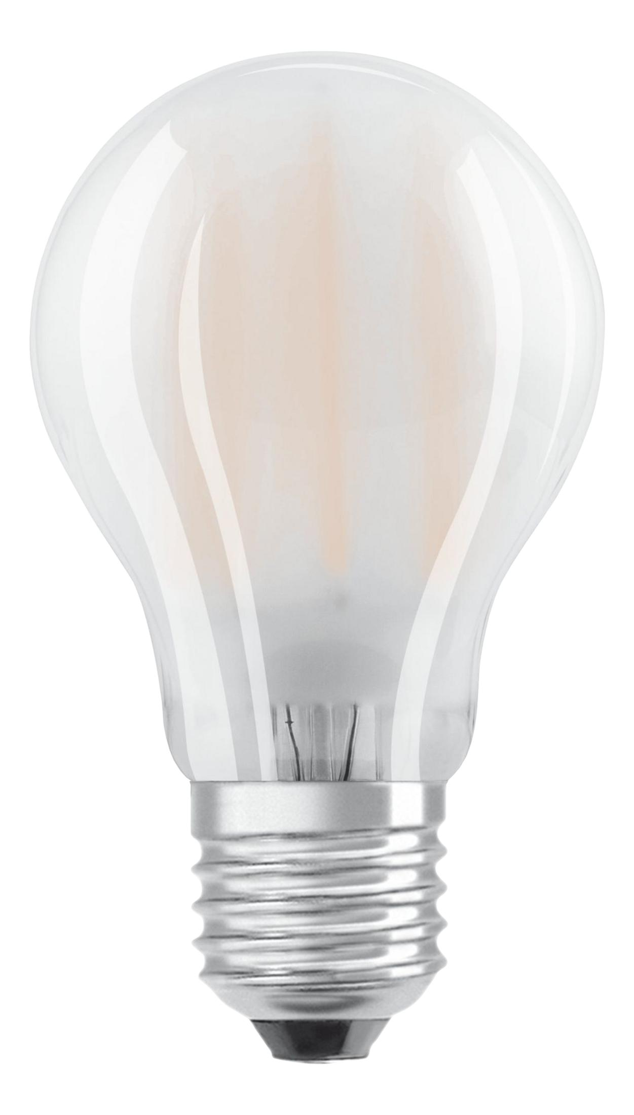 Una lampadina satinata con base argentata su sfondo bianco.