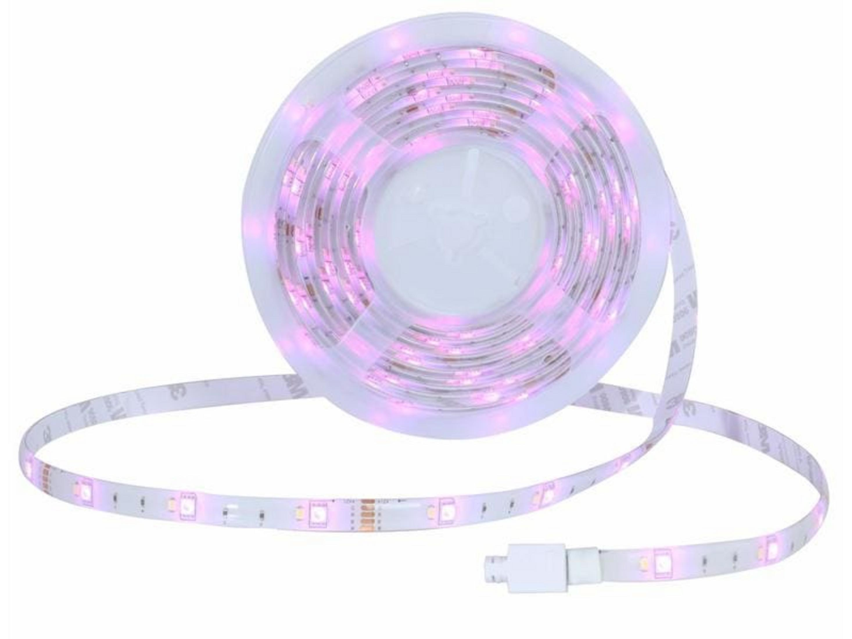 Une bande lumineuse LED enroulée avec des lumières violettes et un connecteur blanc.