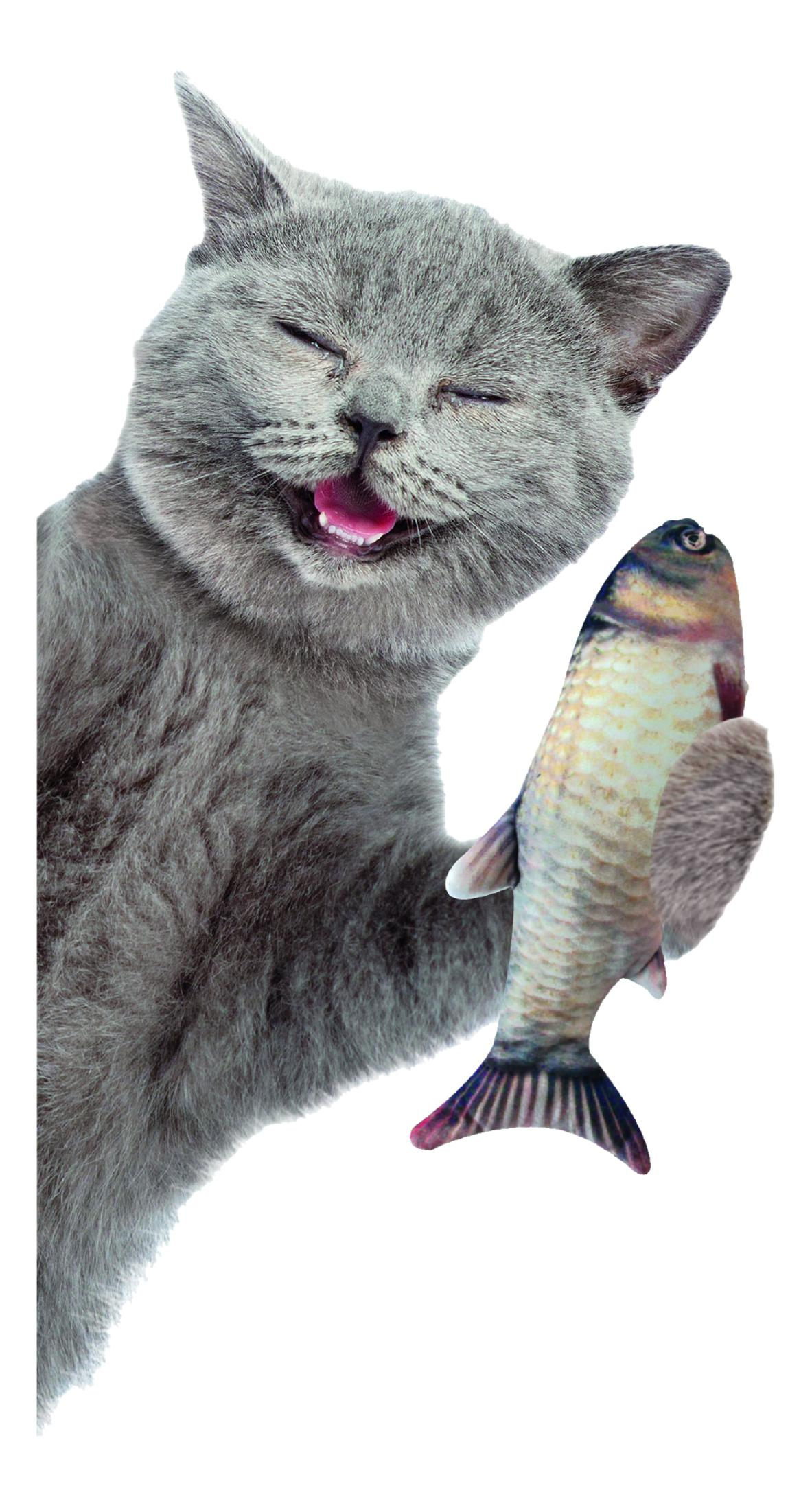 Eine graue Katze lacht und hält einen Fischspielzeug mit ihrer Pfote.
