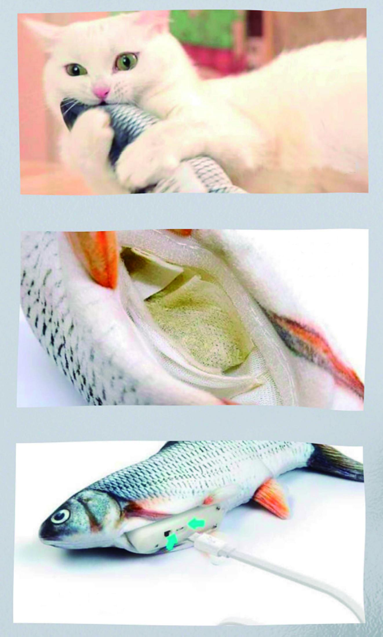 Eine weiße Katze spielt mit einem Fischspielzeug. Der Fisch hat ein Ladekabel.
