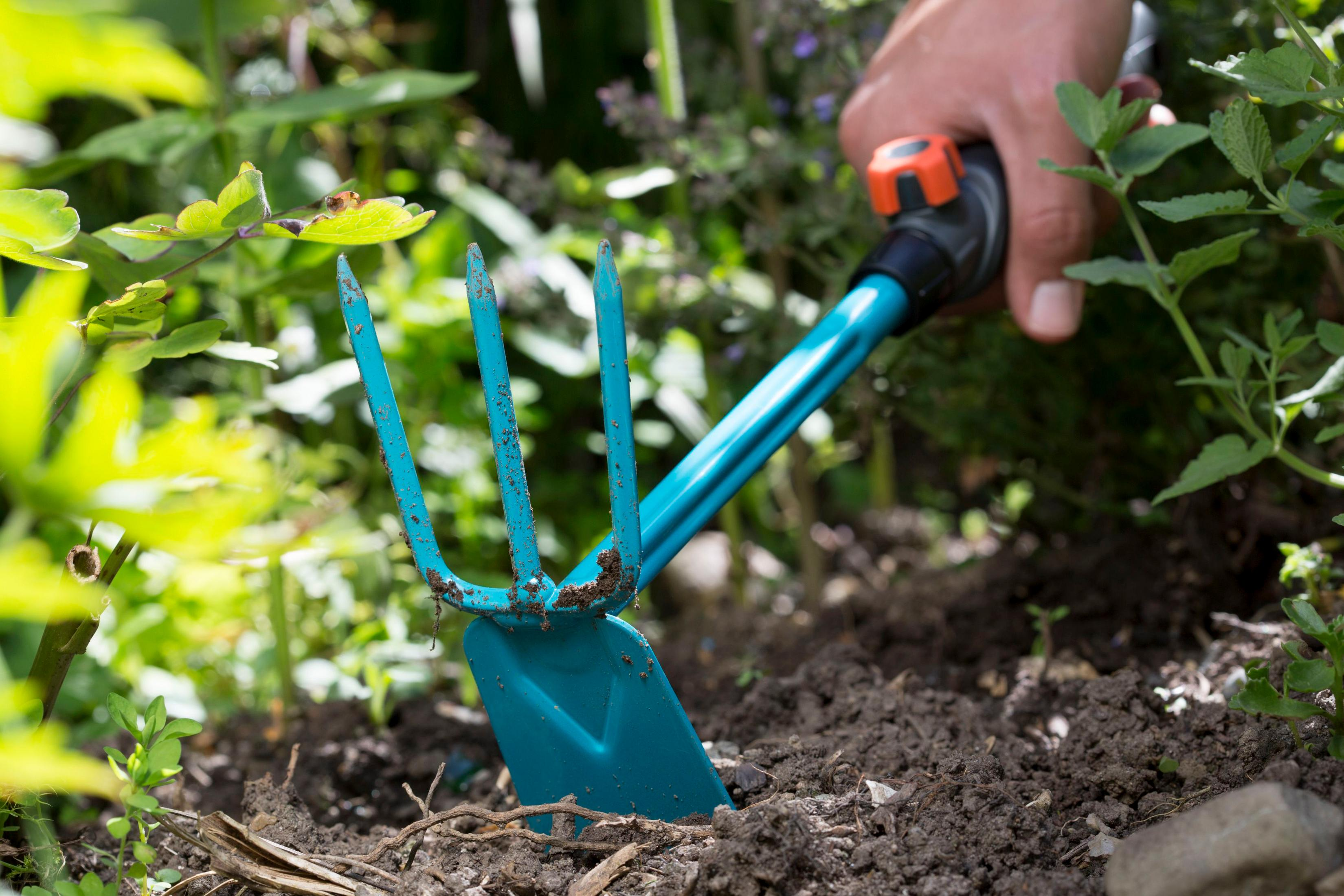 Eine Hand hält eine blaue Gartenhacke mit orangem Griff, die in der Erde steckt.