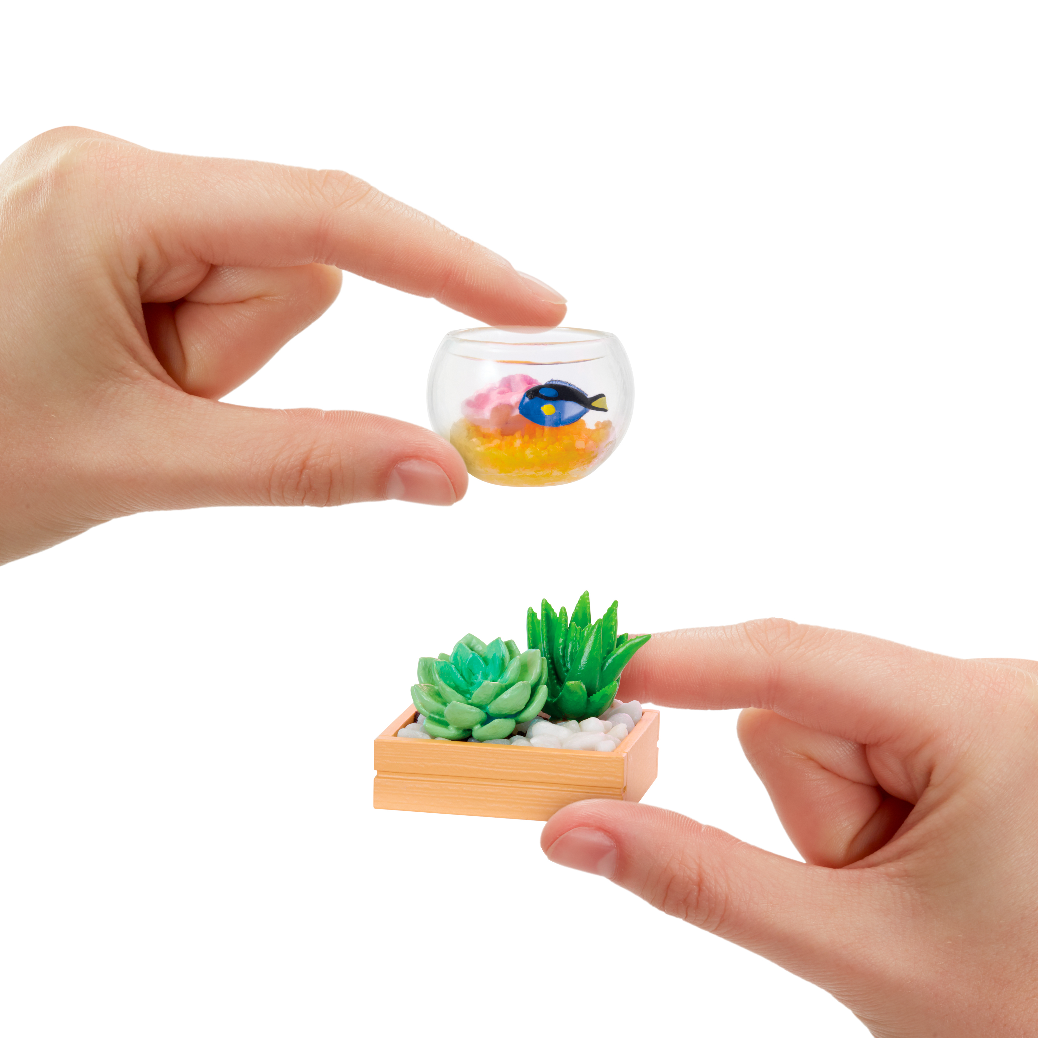 Hände halten ein Mini-Aquarium mit einem blauen Fisch und Sukkulenten.