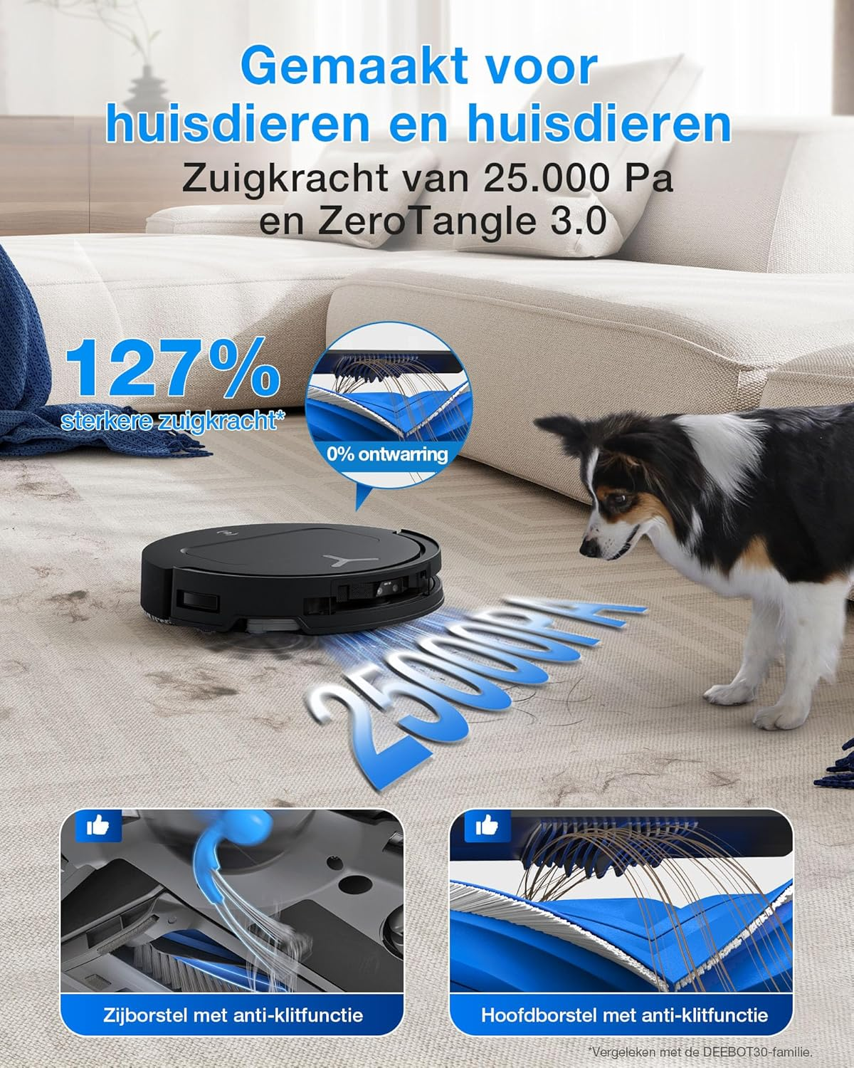 Un robot aspirateur nettoie un tapis avec un chien qui regarde. Gros plans sur les brosses.