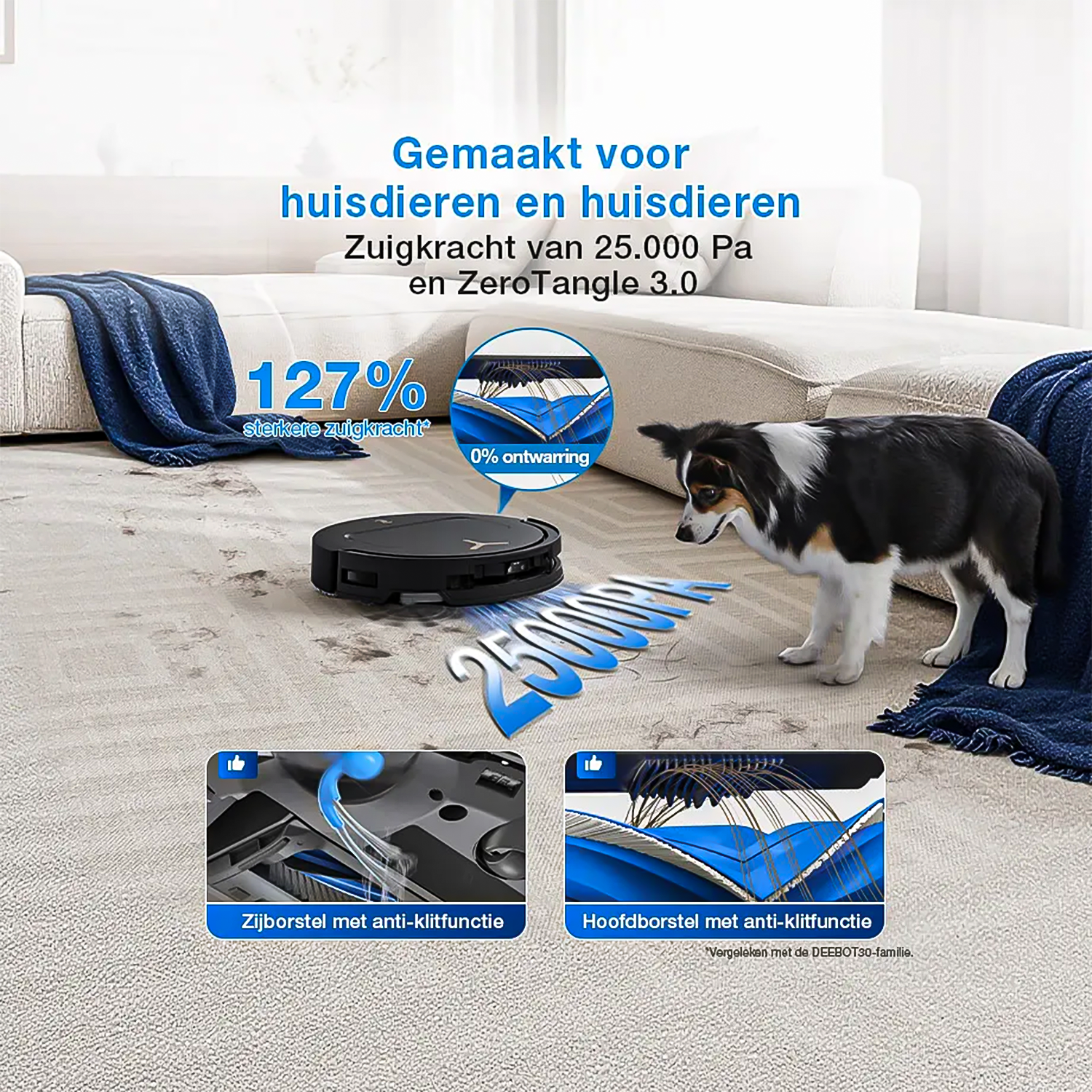 Un robot aspirateur nettoie un tapis pendant qu'un chien regarde. Des détails de brosses sont visibles.