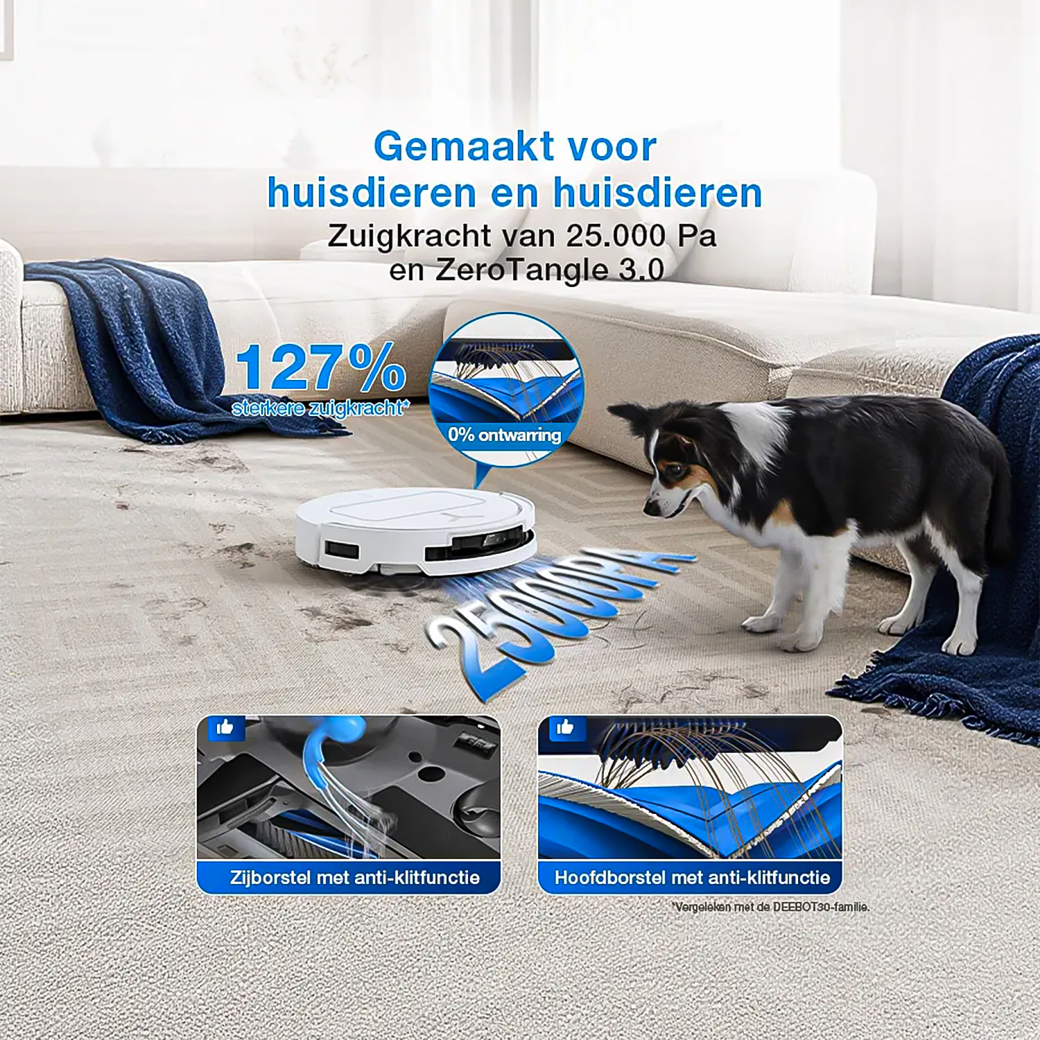 Un robot aspirateur nettoie un tapis sous le regard d'un chien. Gros plans des brosses.