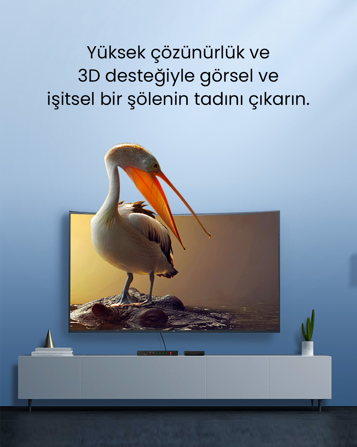 Pelikan, görüntü gösteren bir TV önünde timsahın üzerinde duruyor.