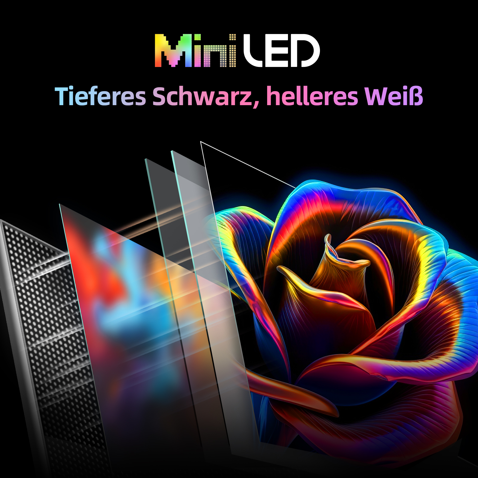 Technologia Mini LED z kolorową różą i warstwami.