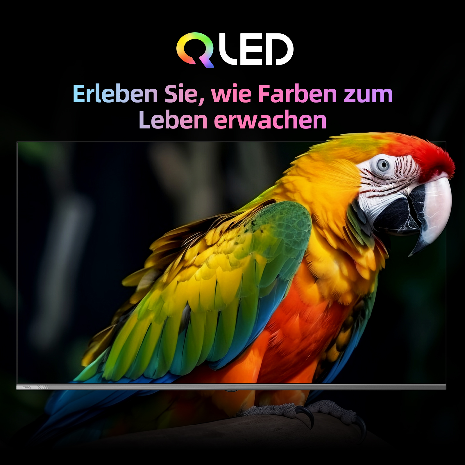Kolorowa ara na gałęzi na ciemnym tle z logo i tekstem "QLED".