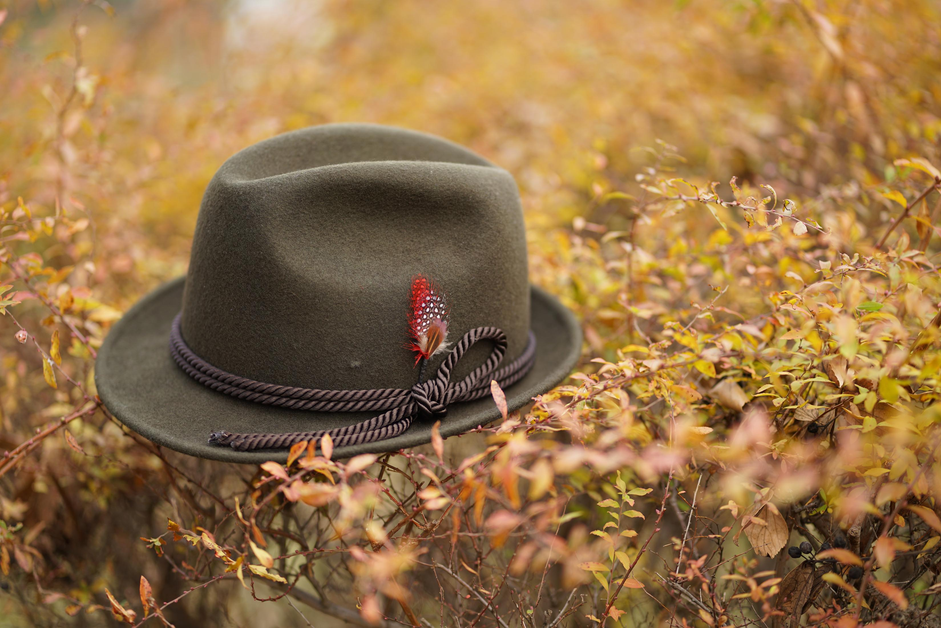 Un sombrero verde con pluma y banda de cuerda yace entre el follaje otoñal.