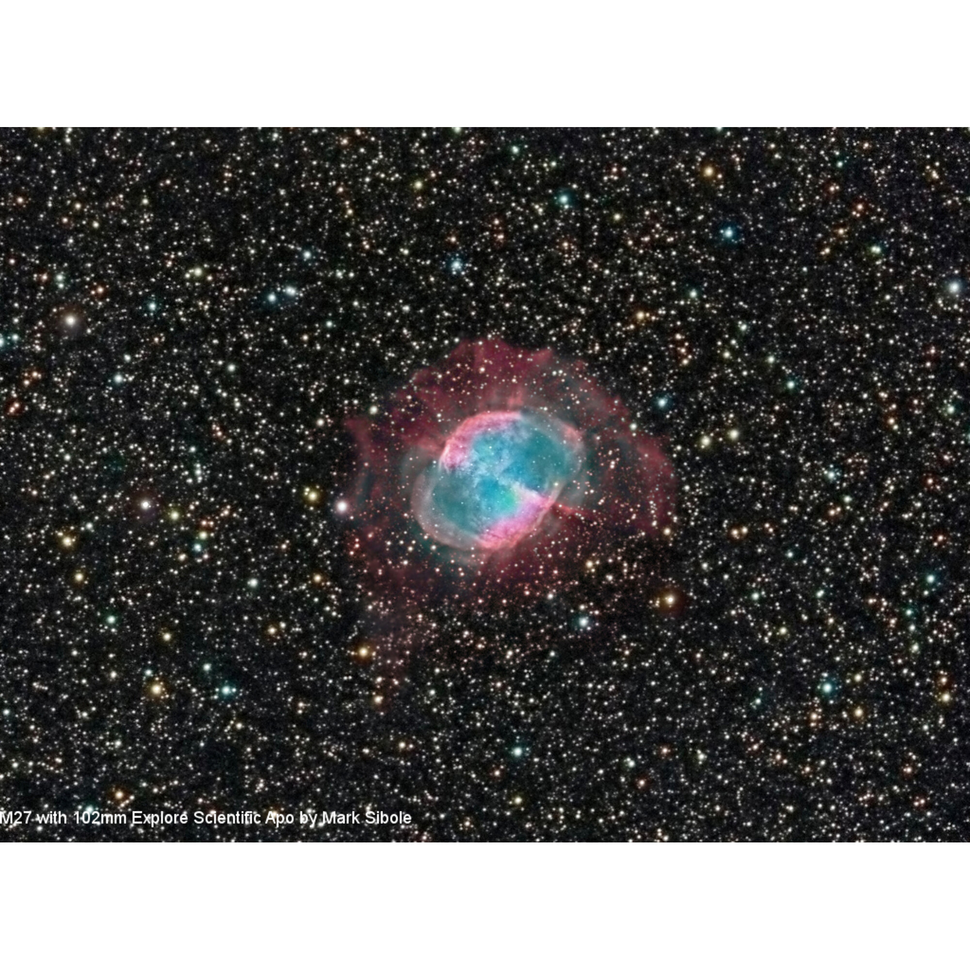 La Nebulosa del Mazo (M27) brilla en vibrante rosa y turquesa entre un denso campo de estrellas.