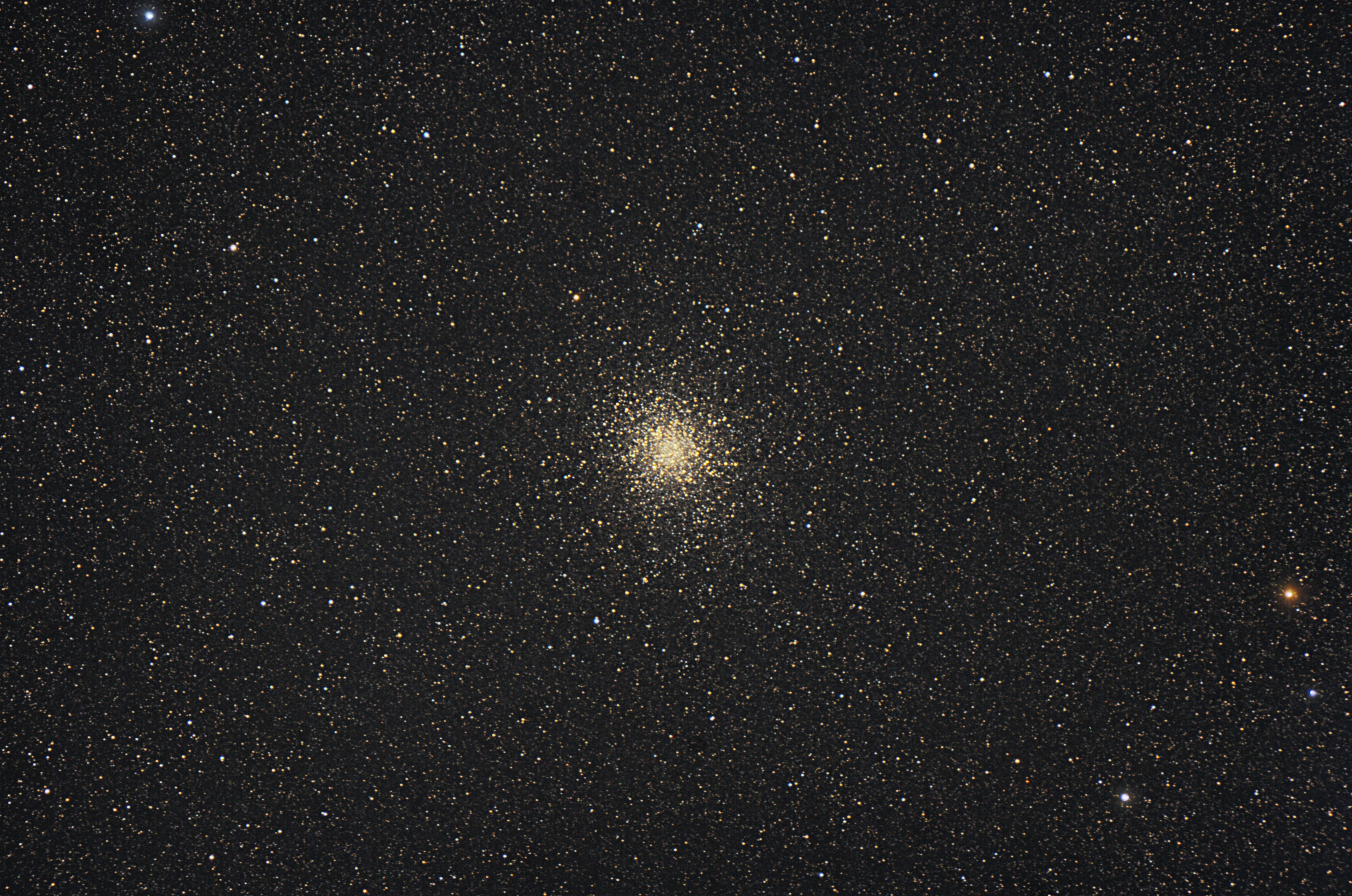 Un denso cúmulo estelar brilla contra un cielo nocturno oscuro lleno de estrellas.