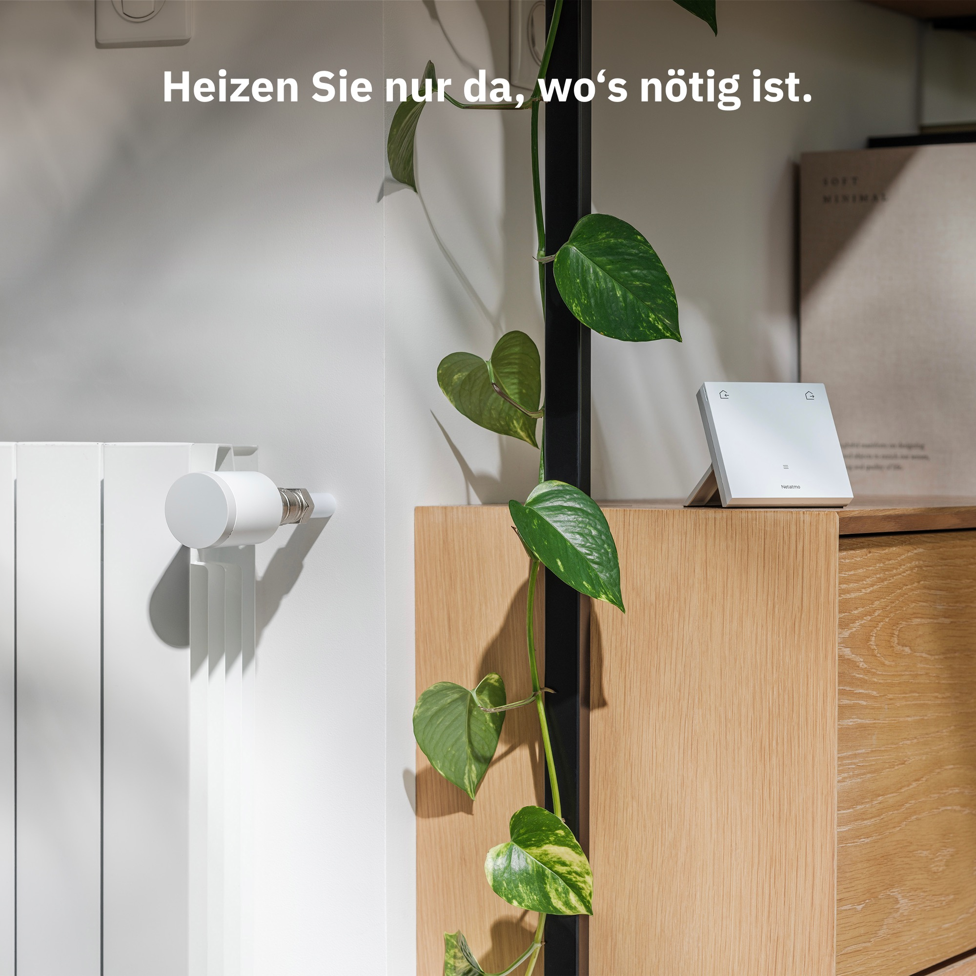 A white radiator thermostat next to a houseplant and a device.