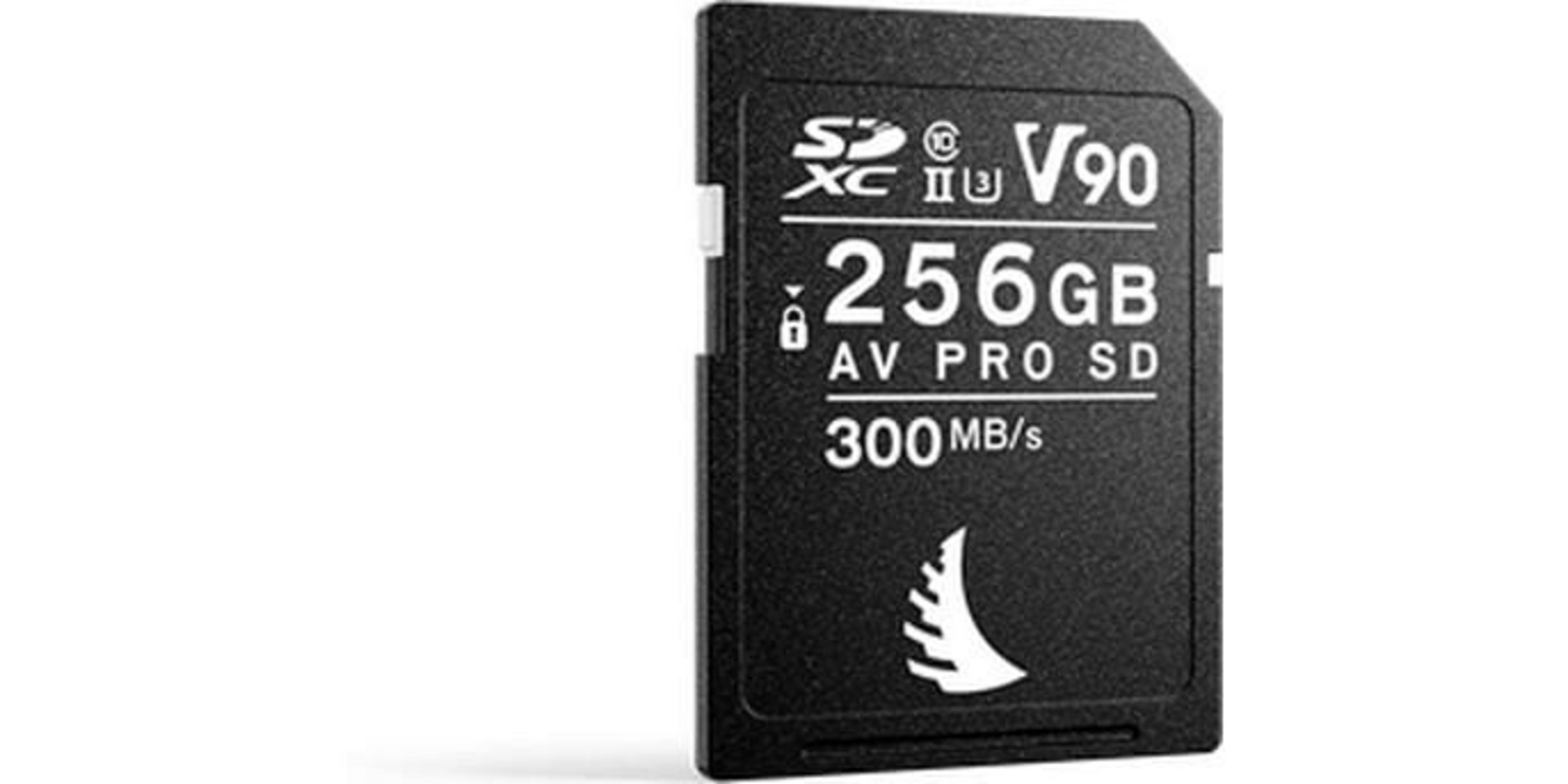 Schwarze SDXC-Karte, V90, 256GB, AV PRO SD, 300MB/s. Weißes Logo unten.