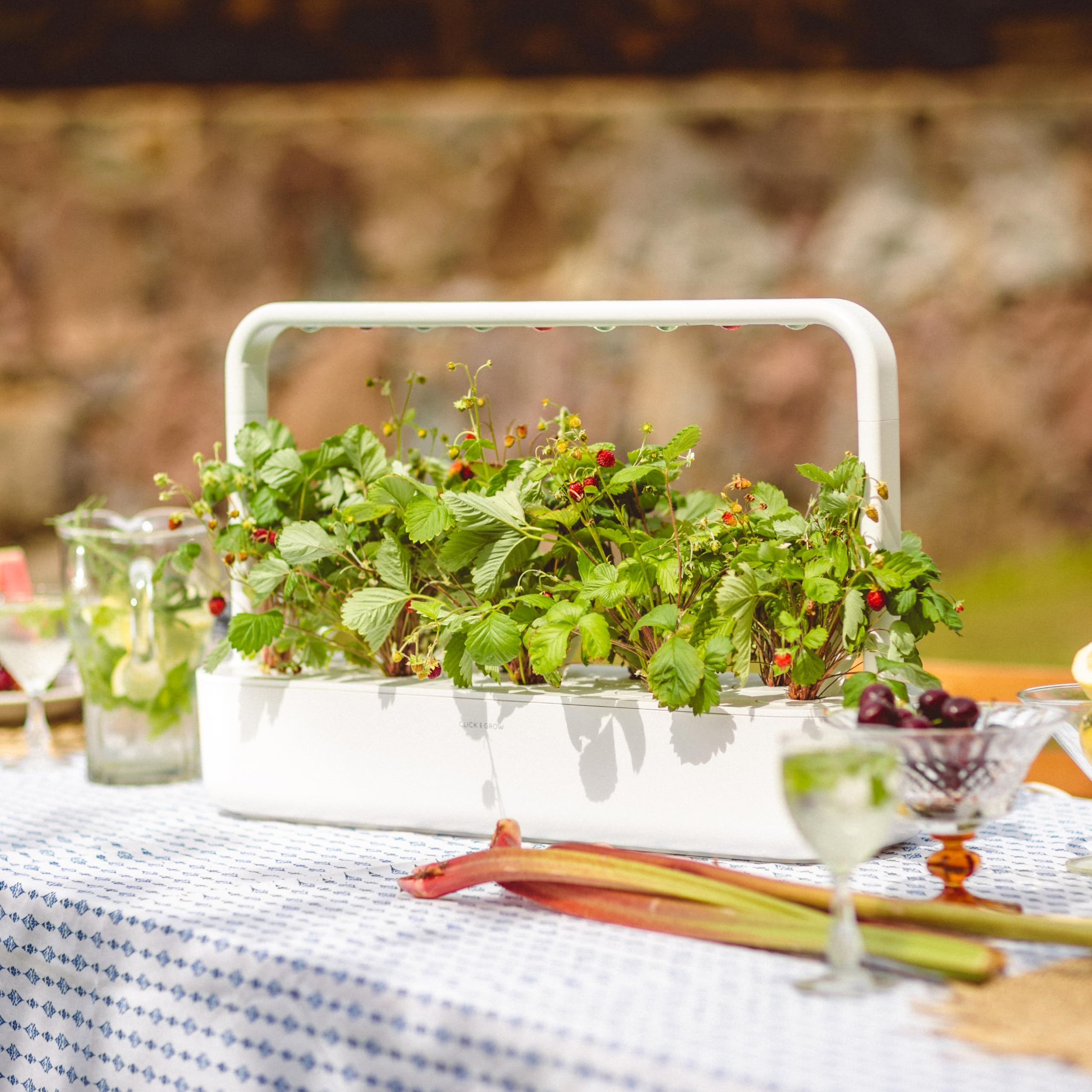 Un jardin d'intérieur blanc avec des plants de fraises et des fruits sur une table.